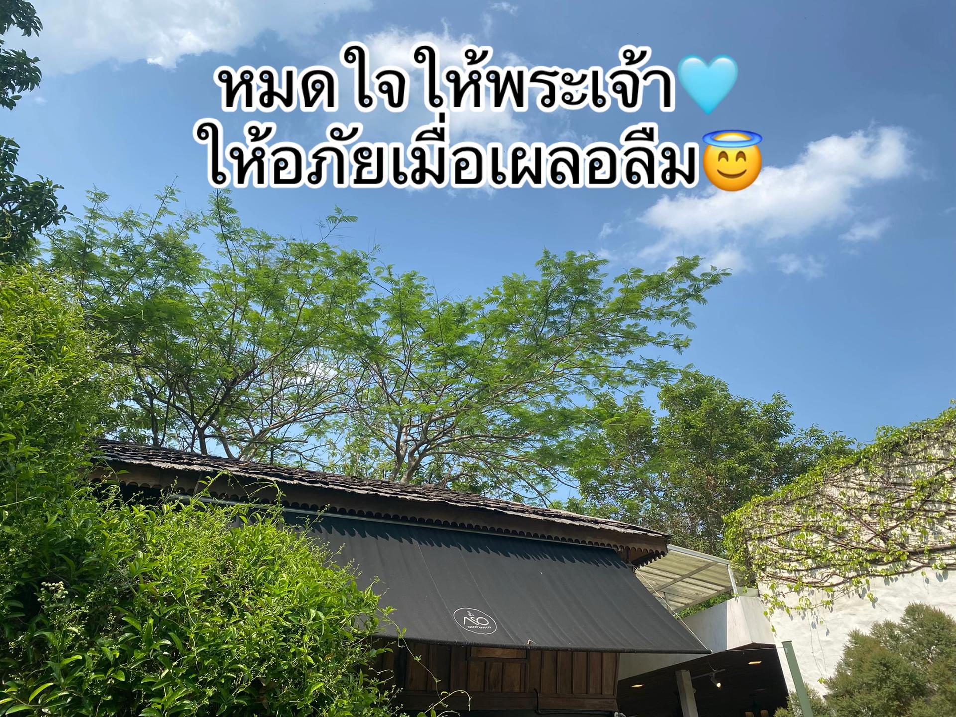 @พื้นที่สีเขียว🍃