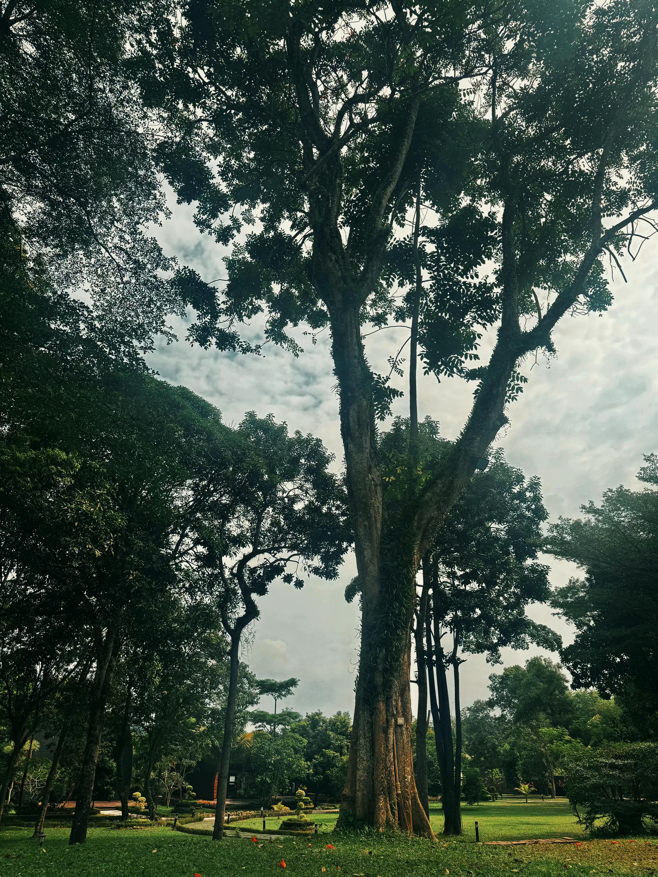 @ayababy.yi.an
