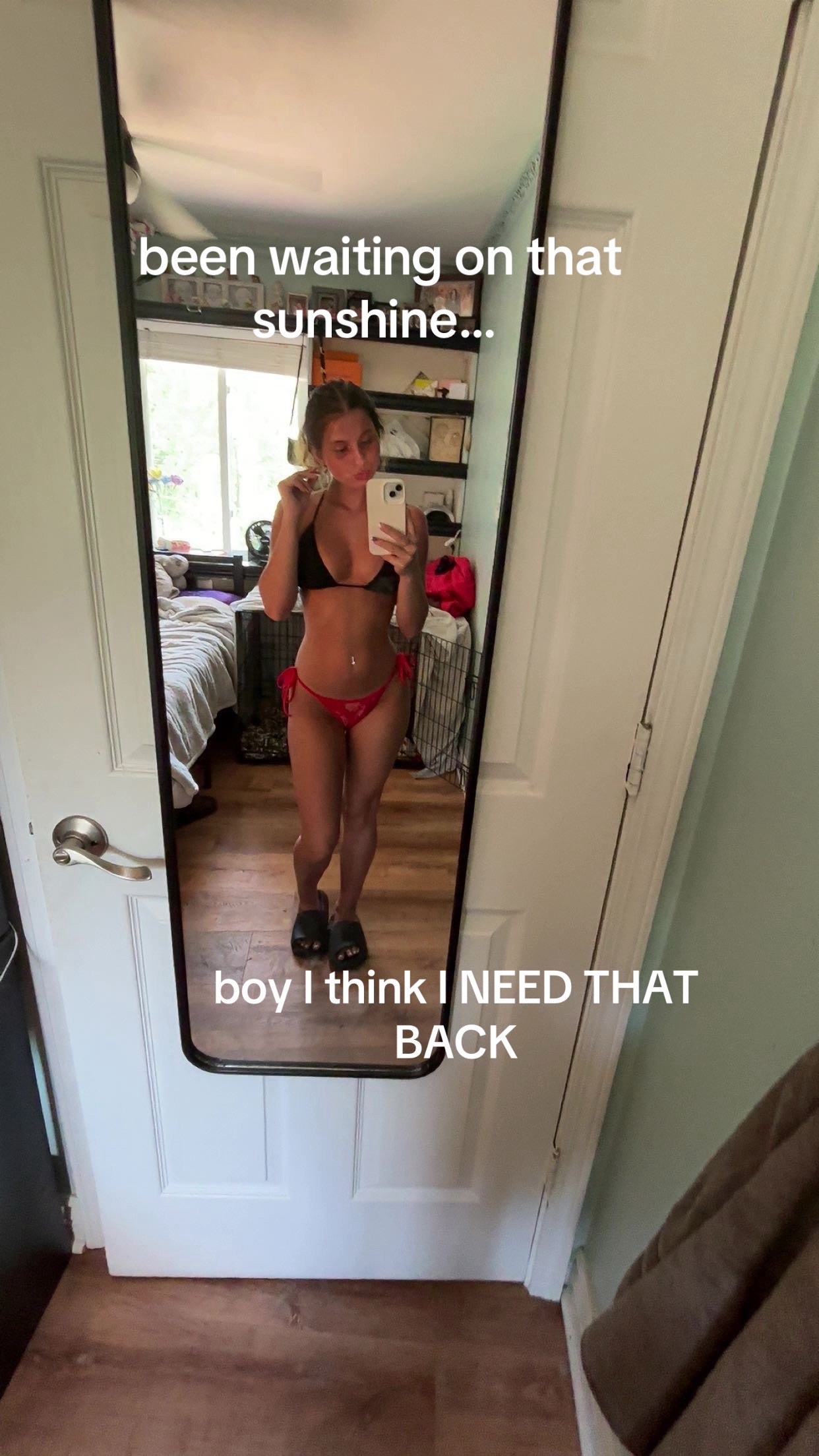 @🪽