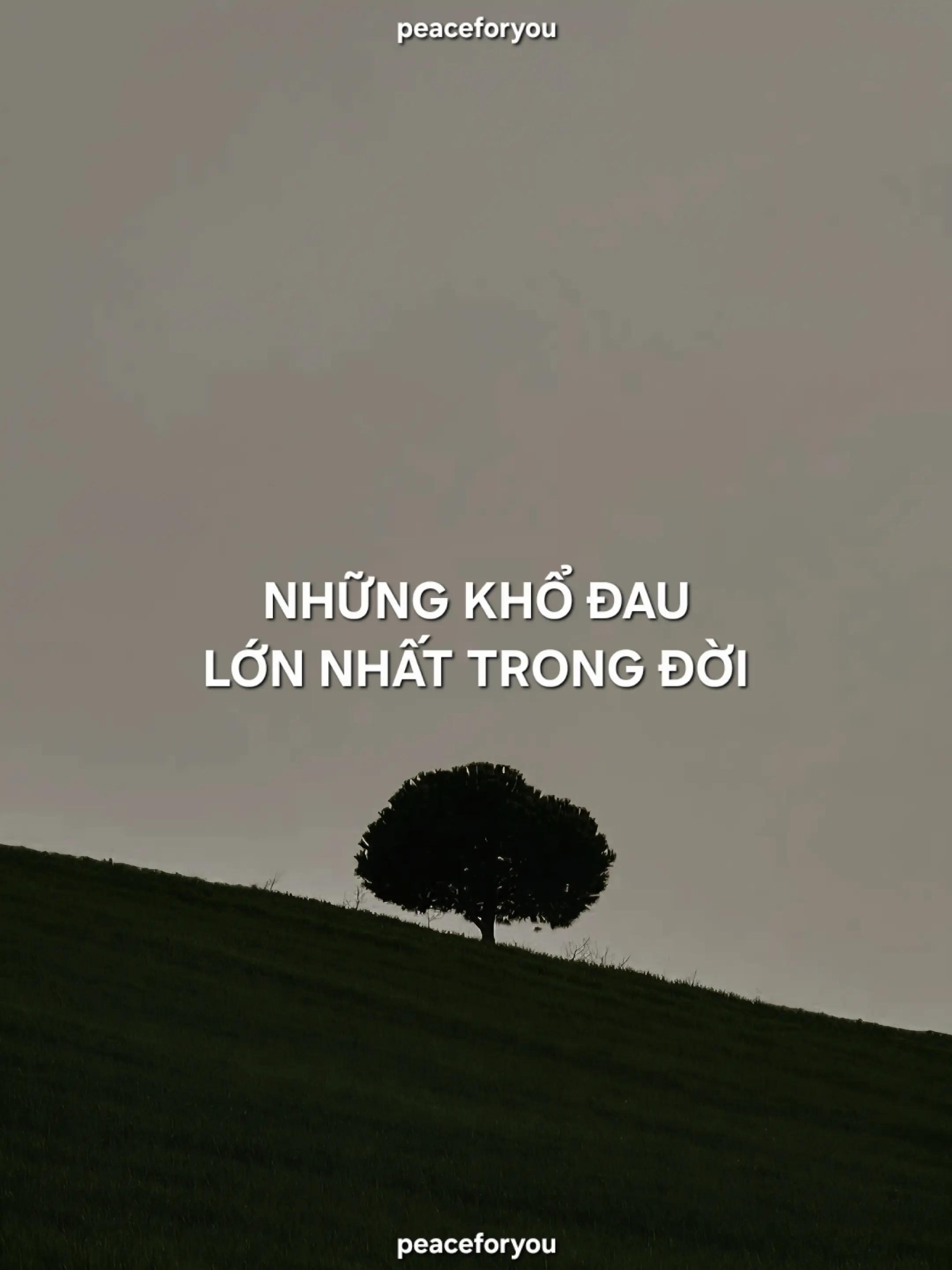 @peaceforyou🌻🌻🌻