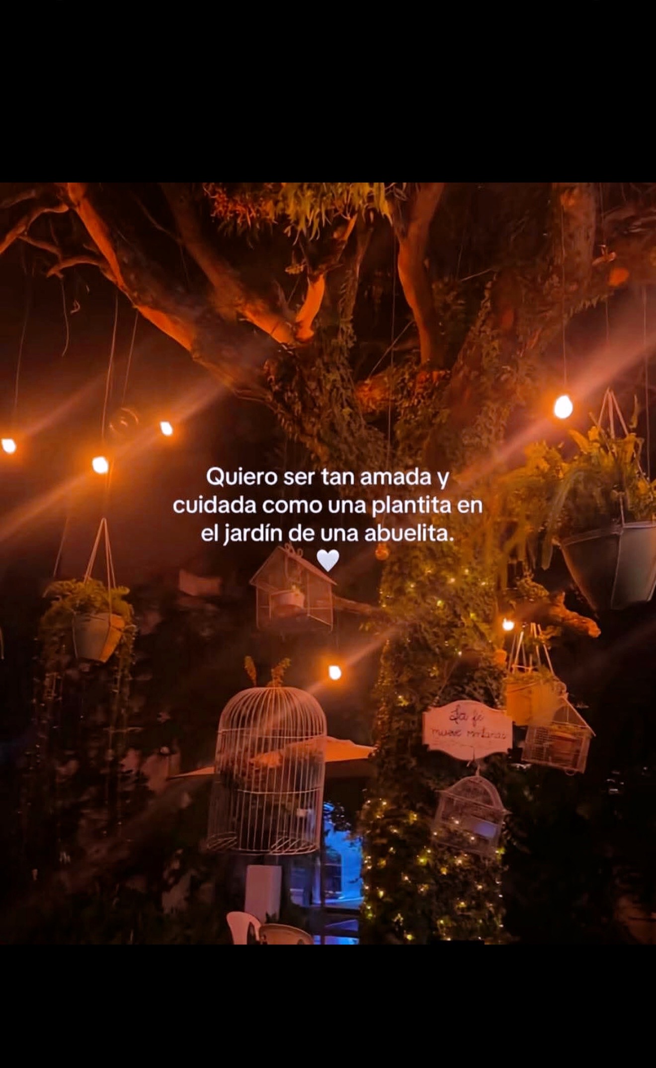 @𝑀𝒾 𝓈𝓊𝓈𝓊𝓇𝓇𝑜