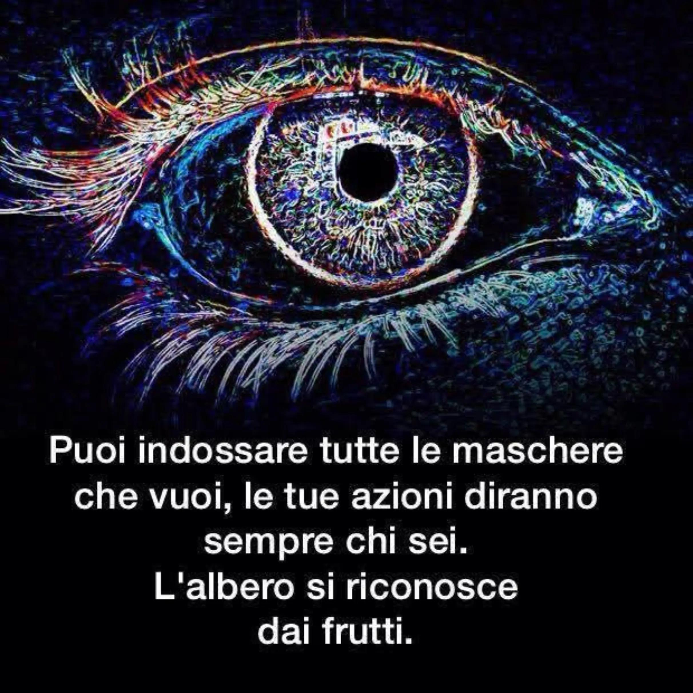 @Francesco Gallina461