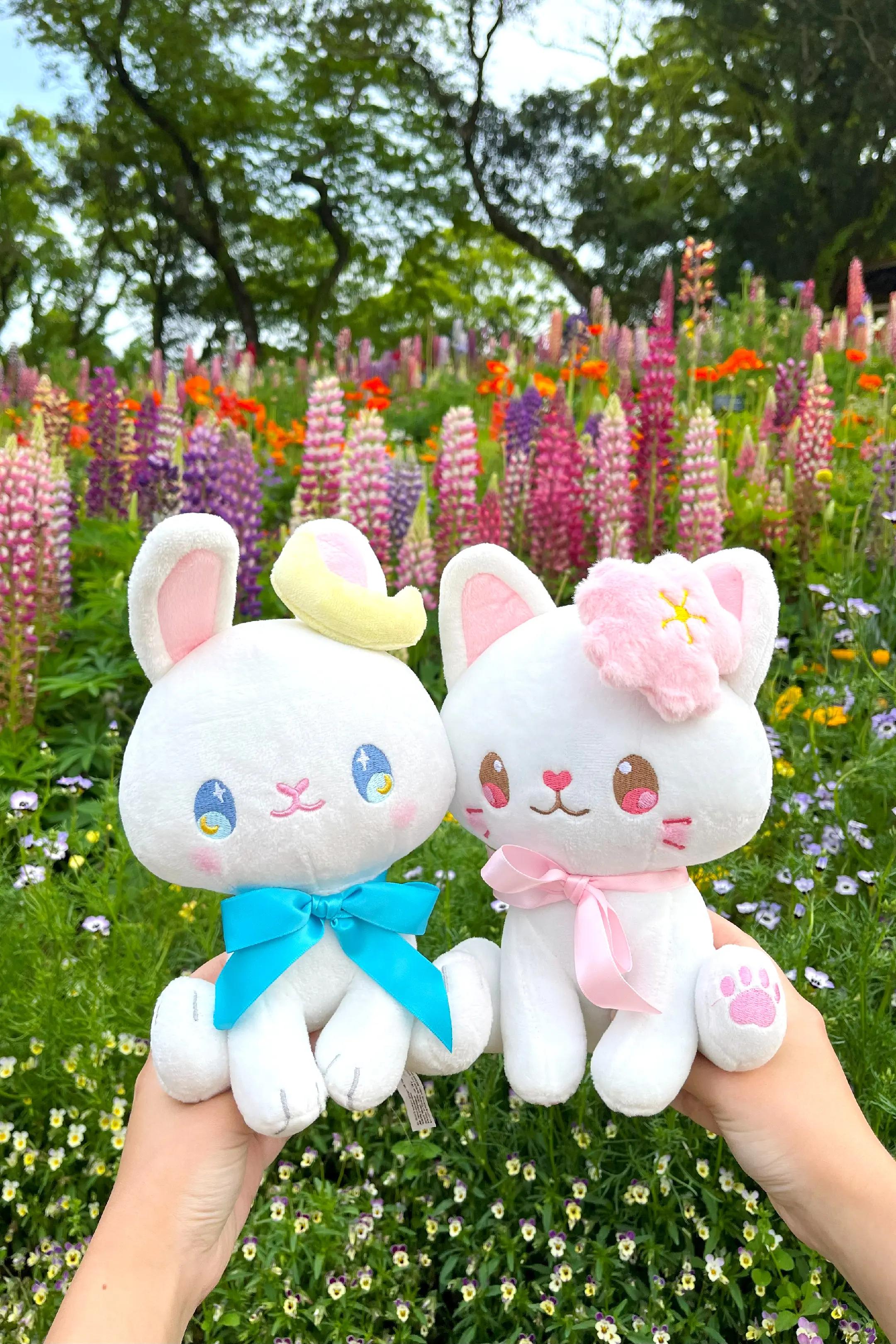 @tokyo shojo