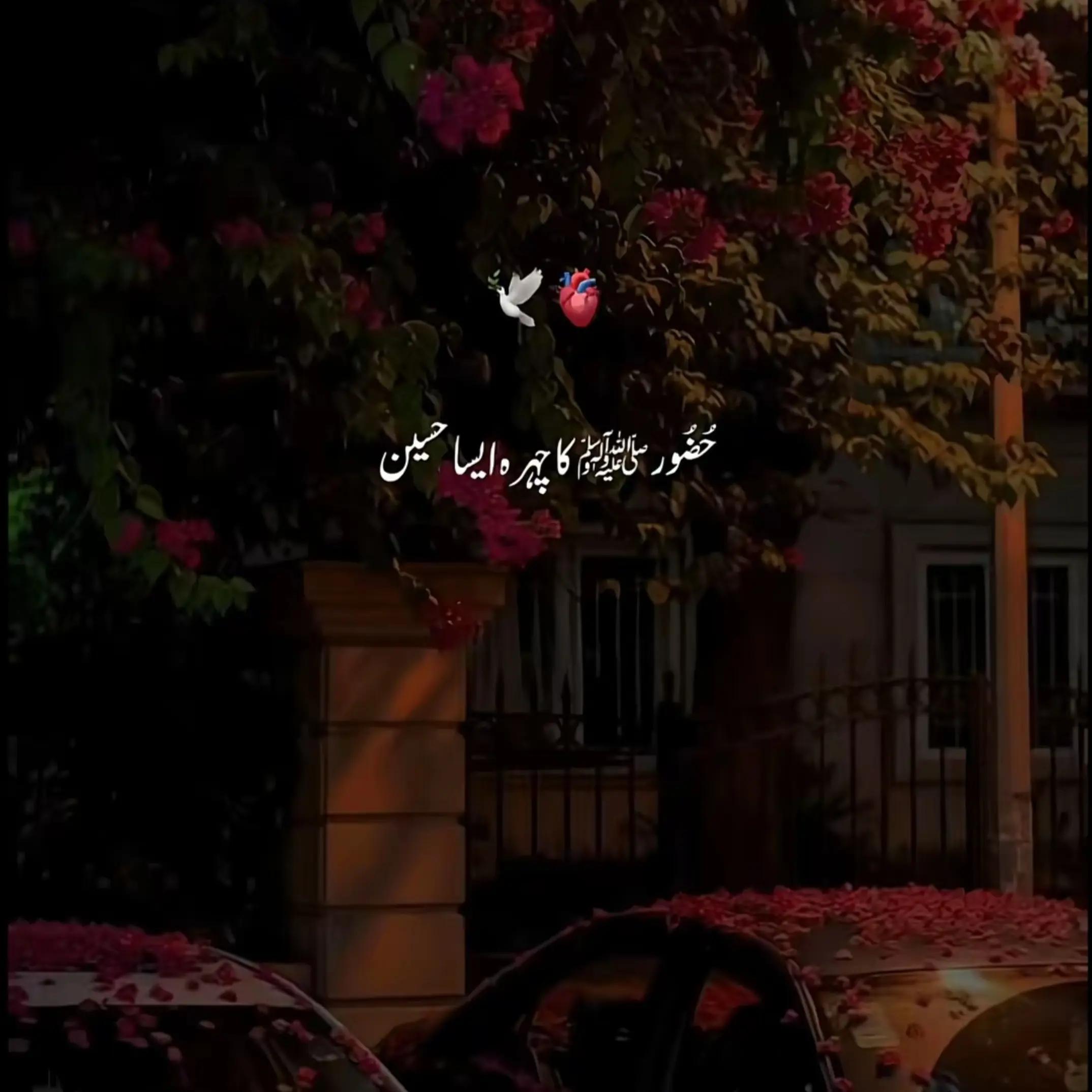 @Fikhre Deeن🫀