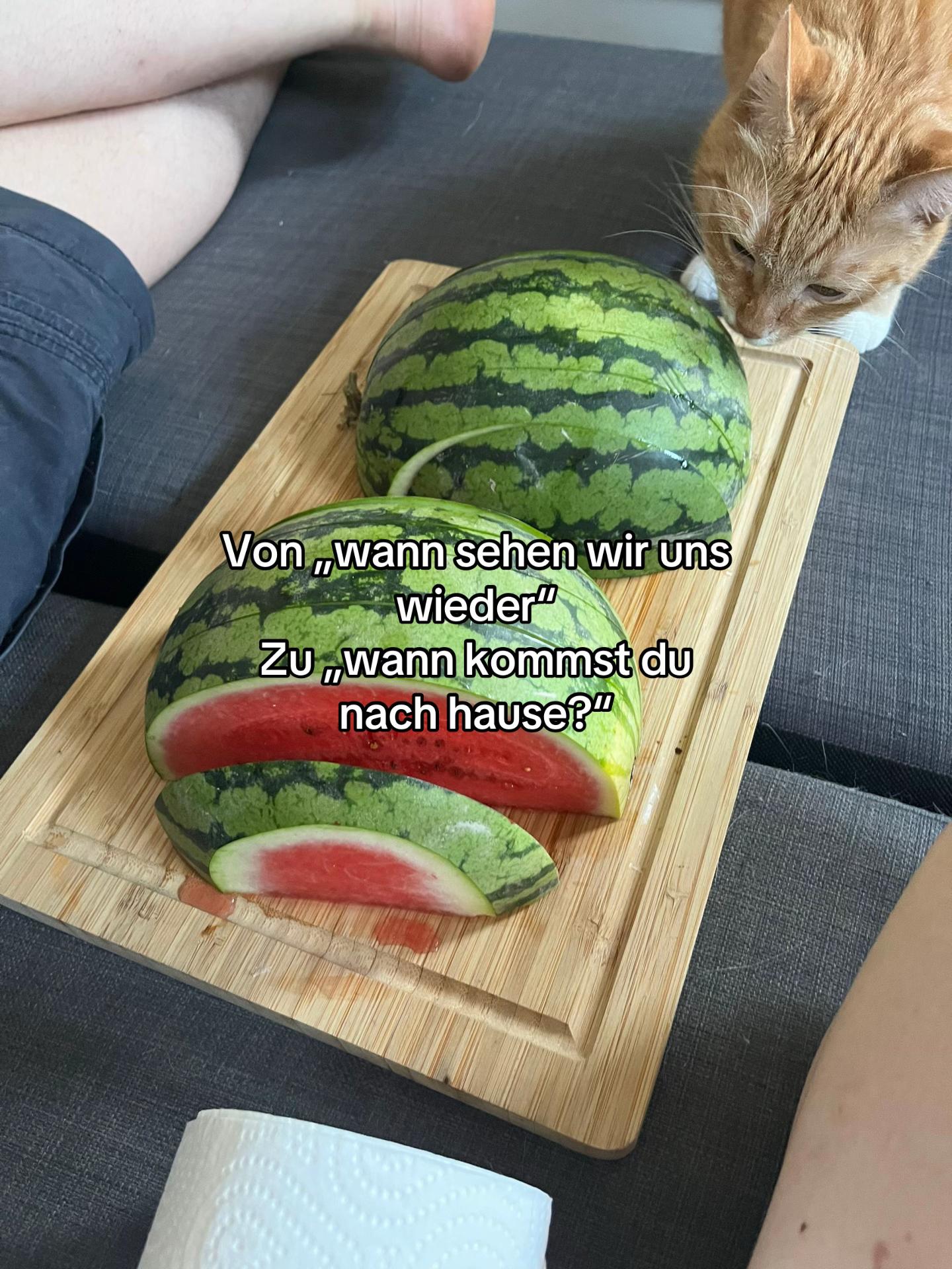 @🕷️katja