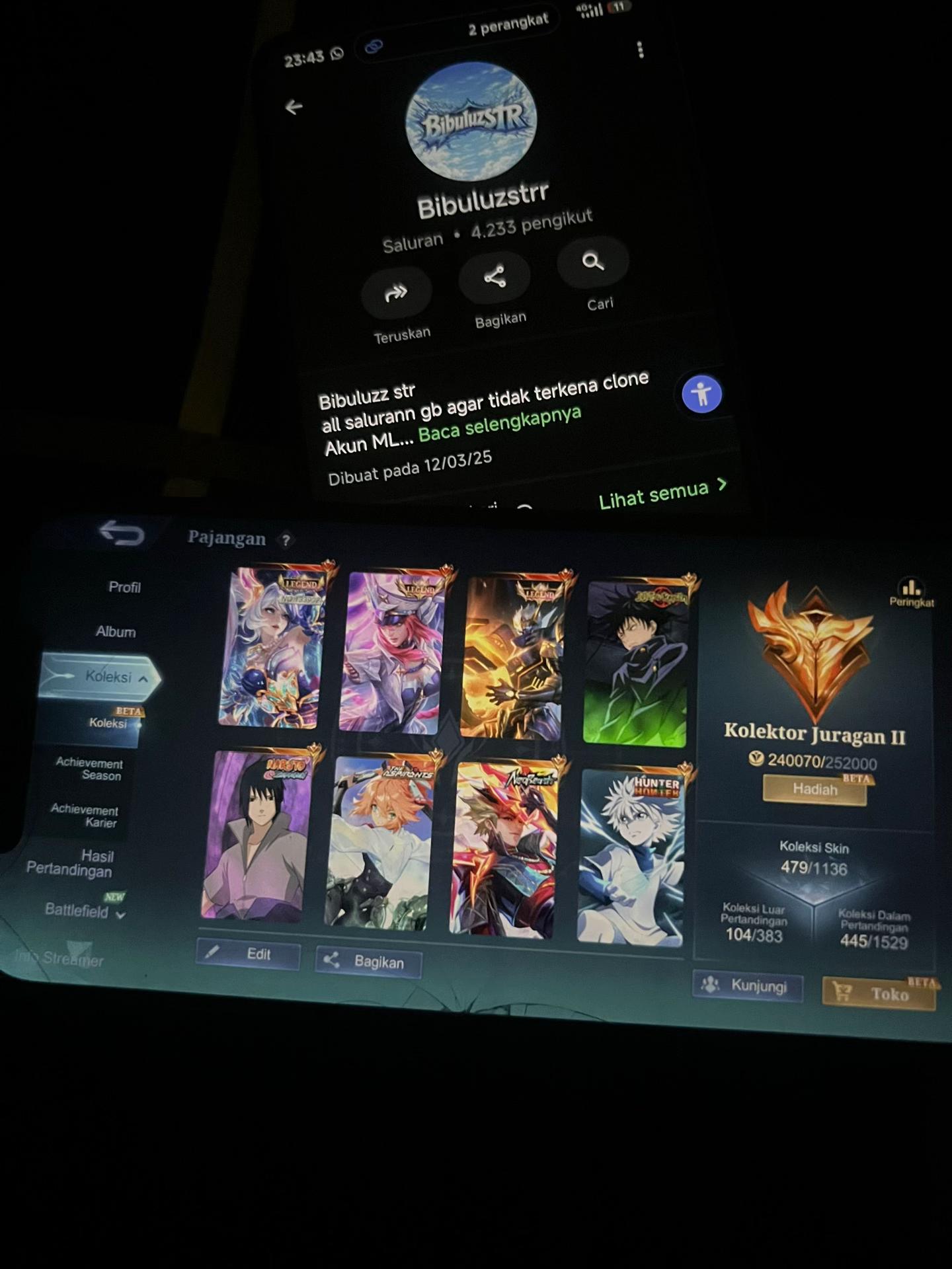 @Bibuluzz