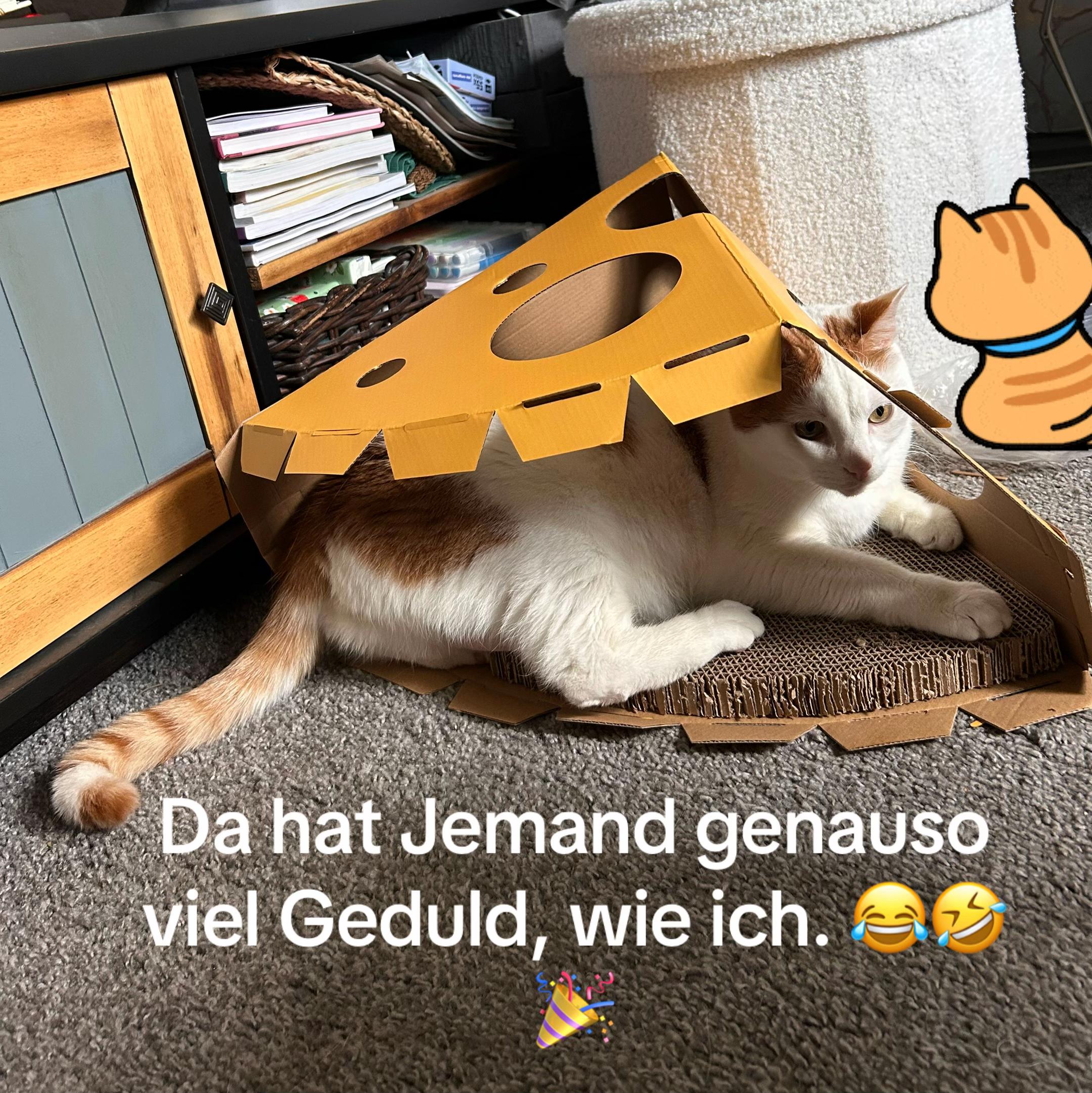@🥳🐈Bibi🌺🌊