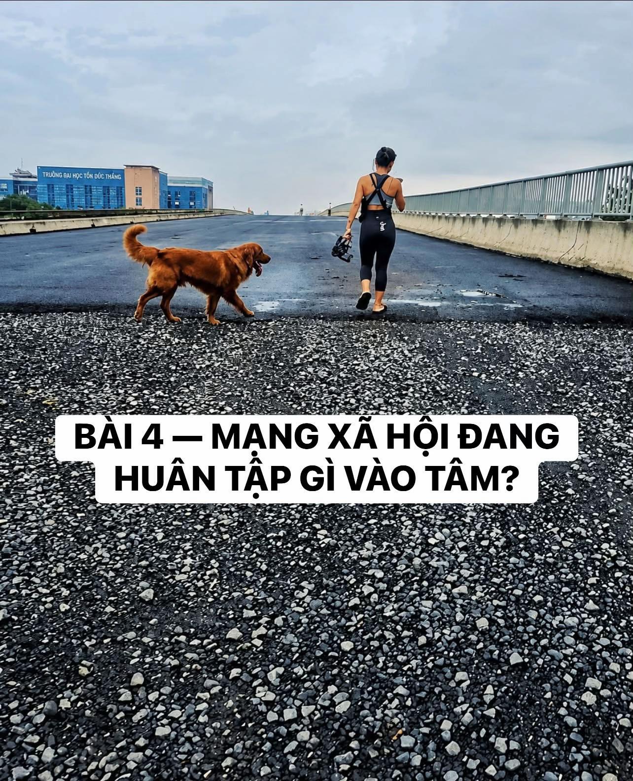 @buihoangbichtho