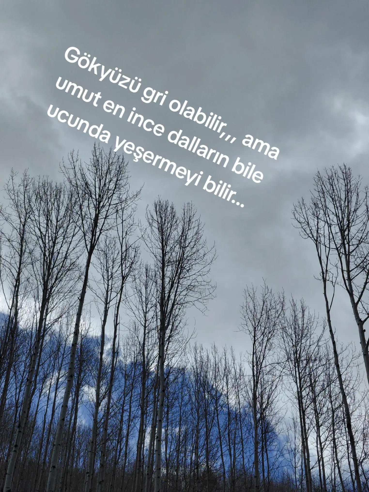 @Hay&acirc;l3807