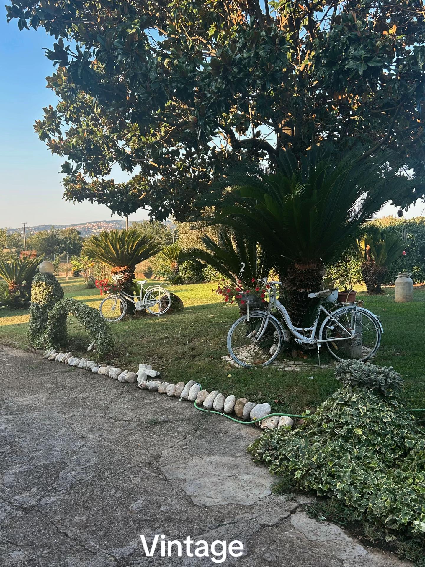 @desiderio.passione