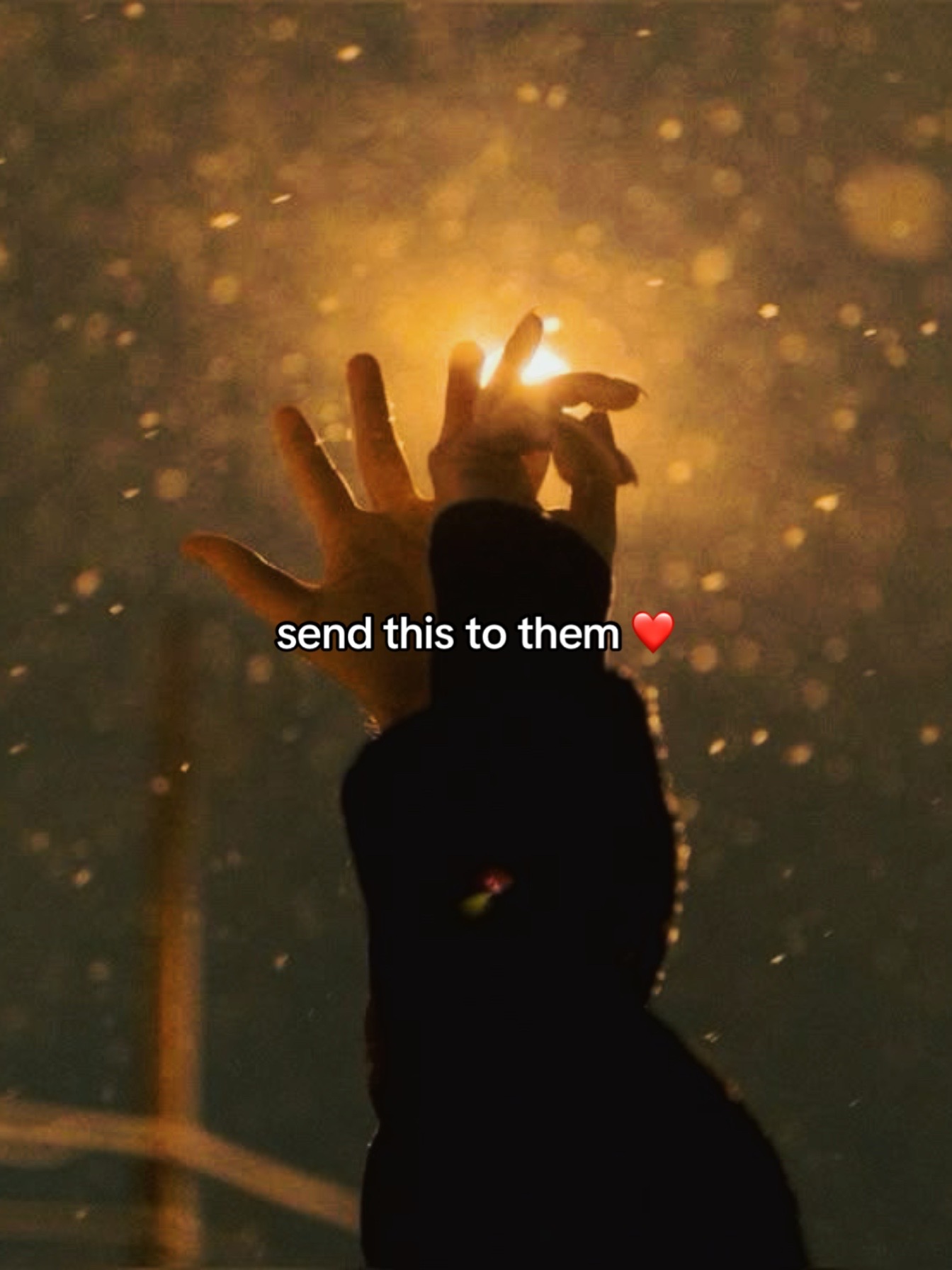 @LOVE + LORE