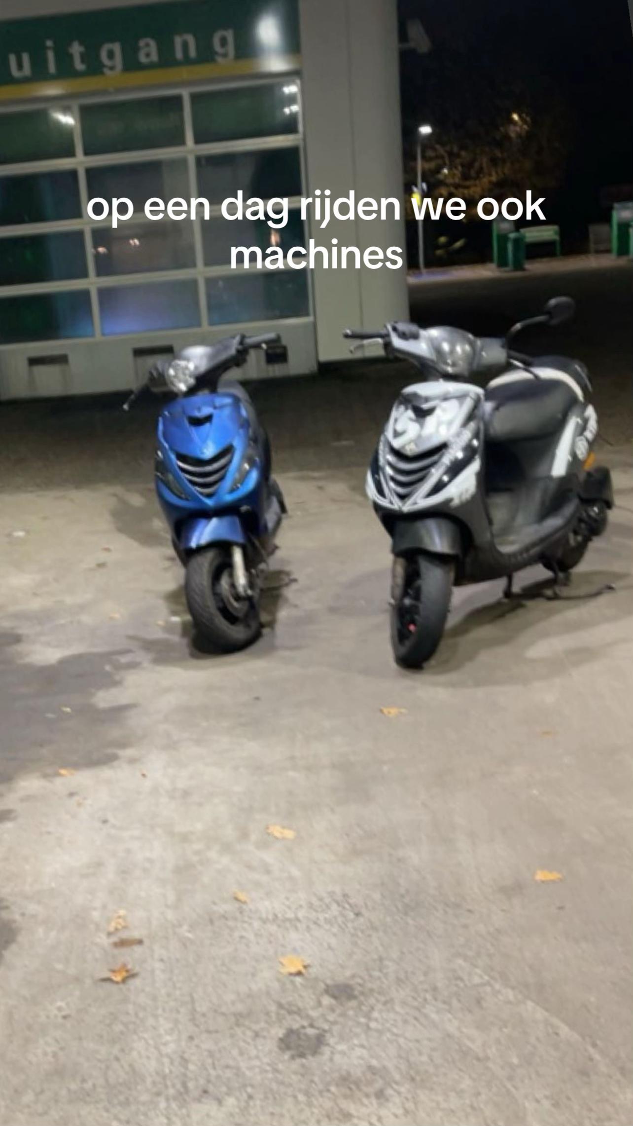 @Hoktoys