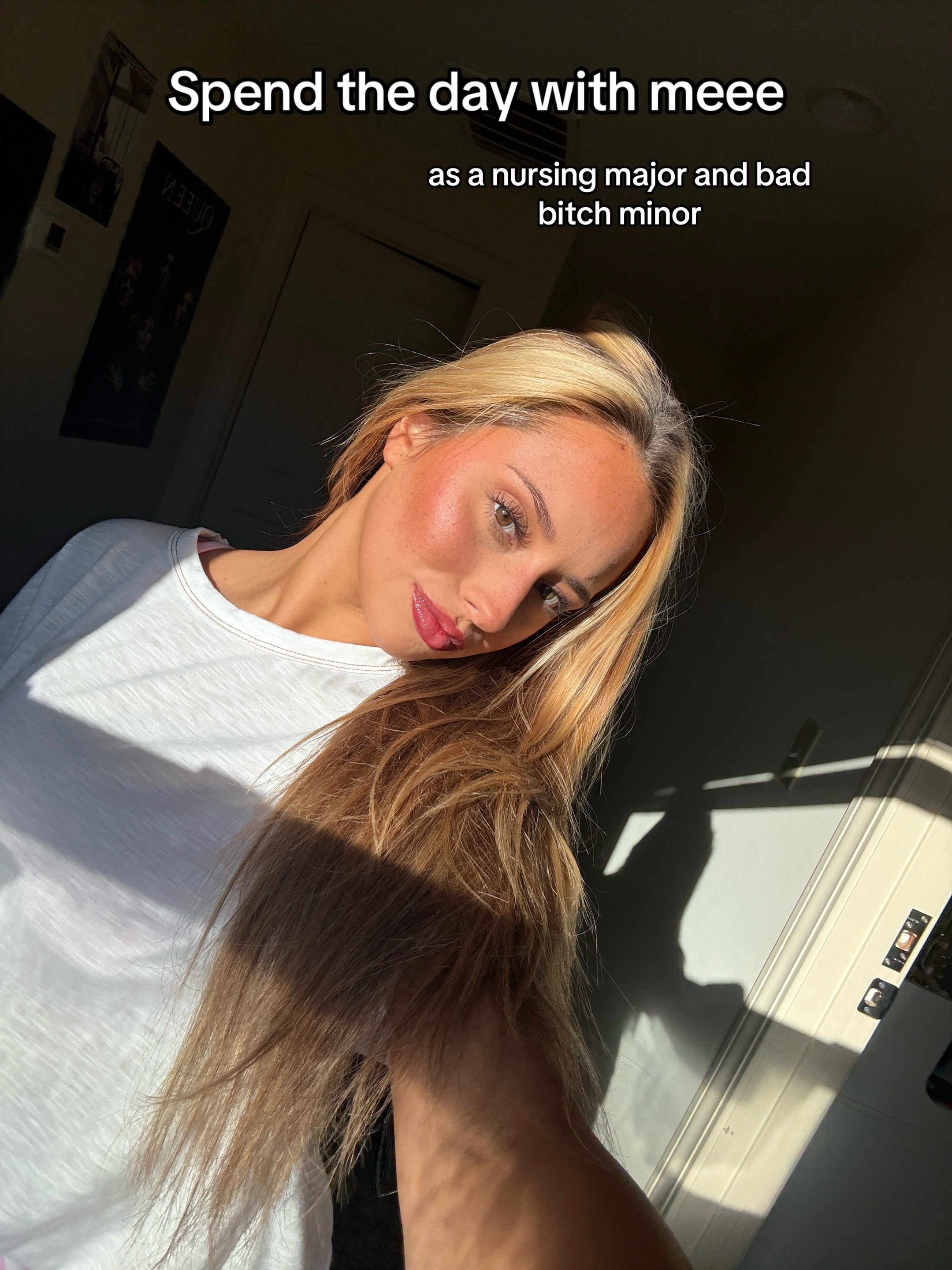 @≽^ ˕ • ྀི≼