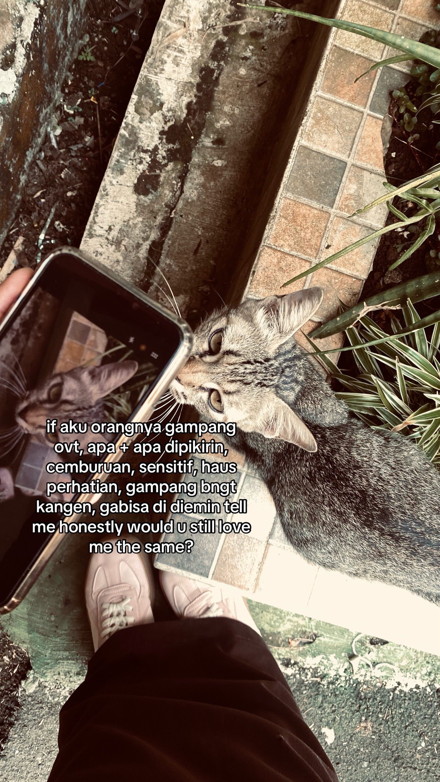 @tamaa