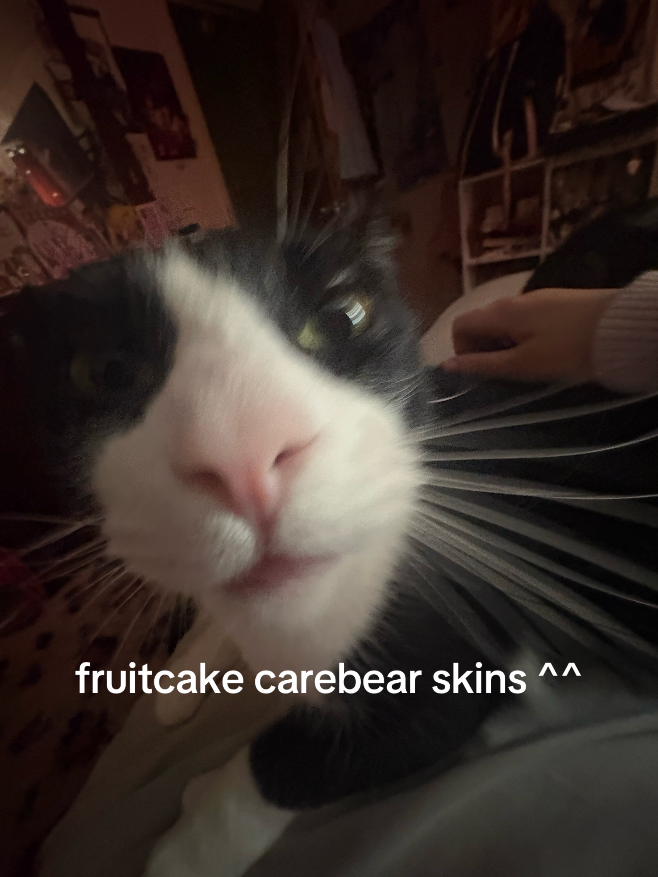 @cos   🍉   clara
