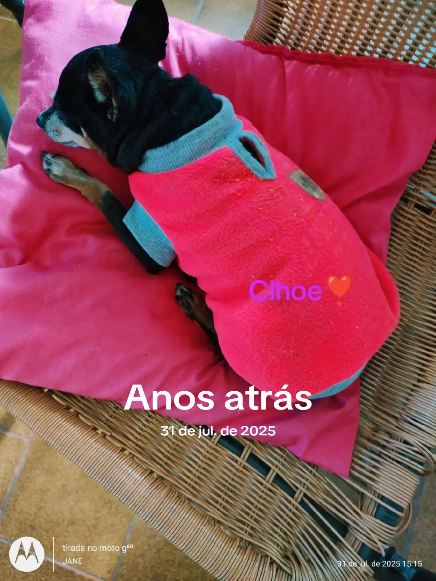 @janemartins1993tiktok.com/@jan