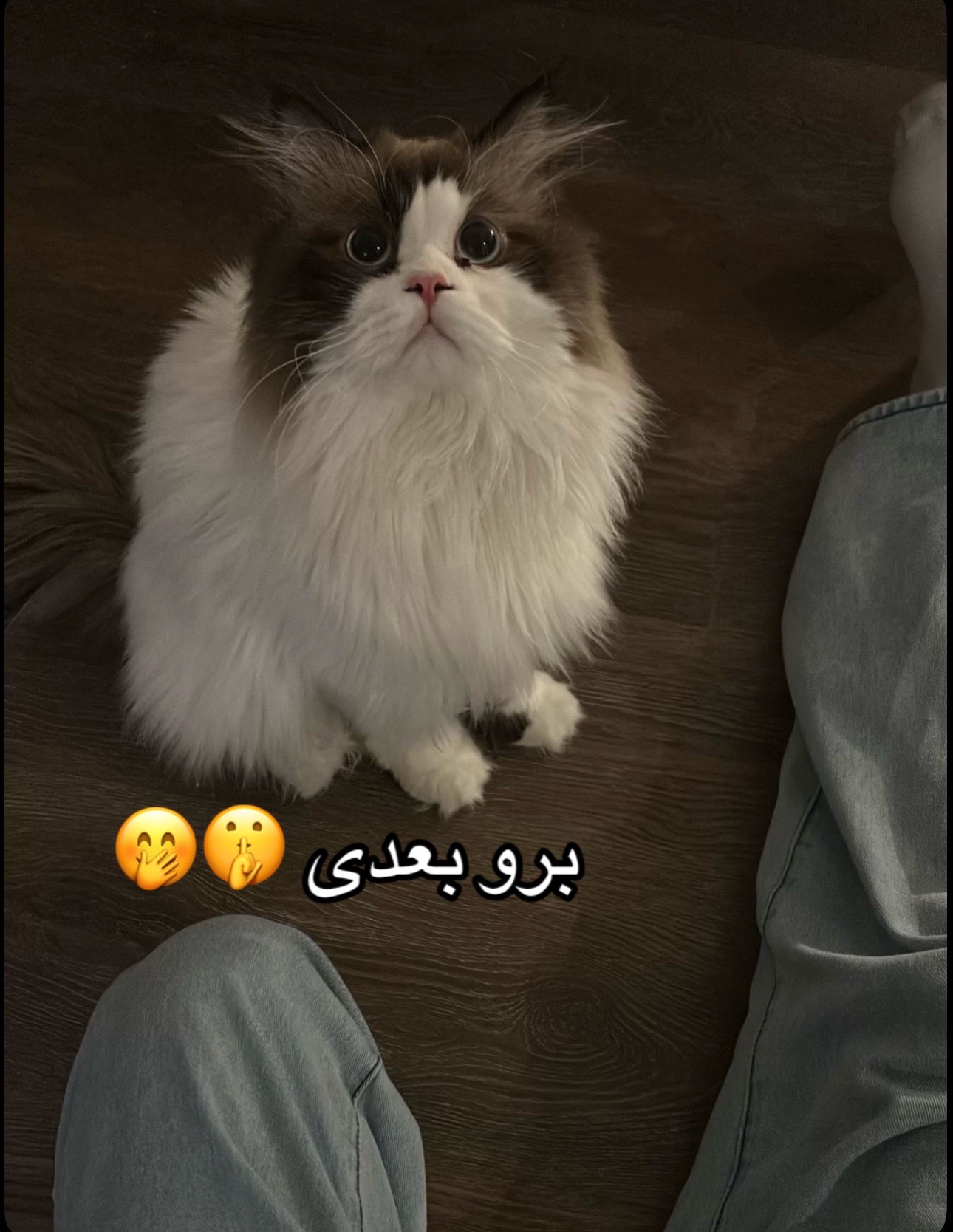 @Durra NooR🧸