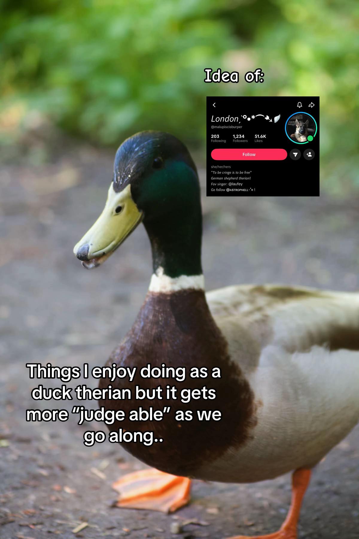@ð
ððððð