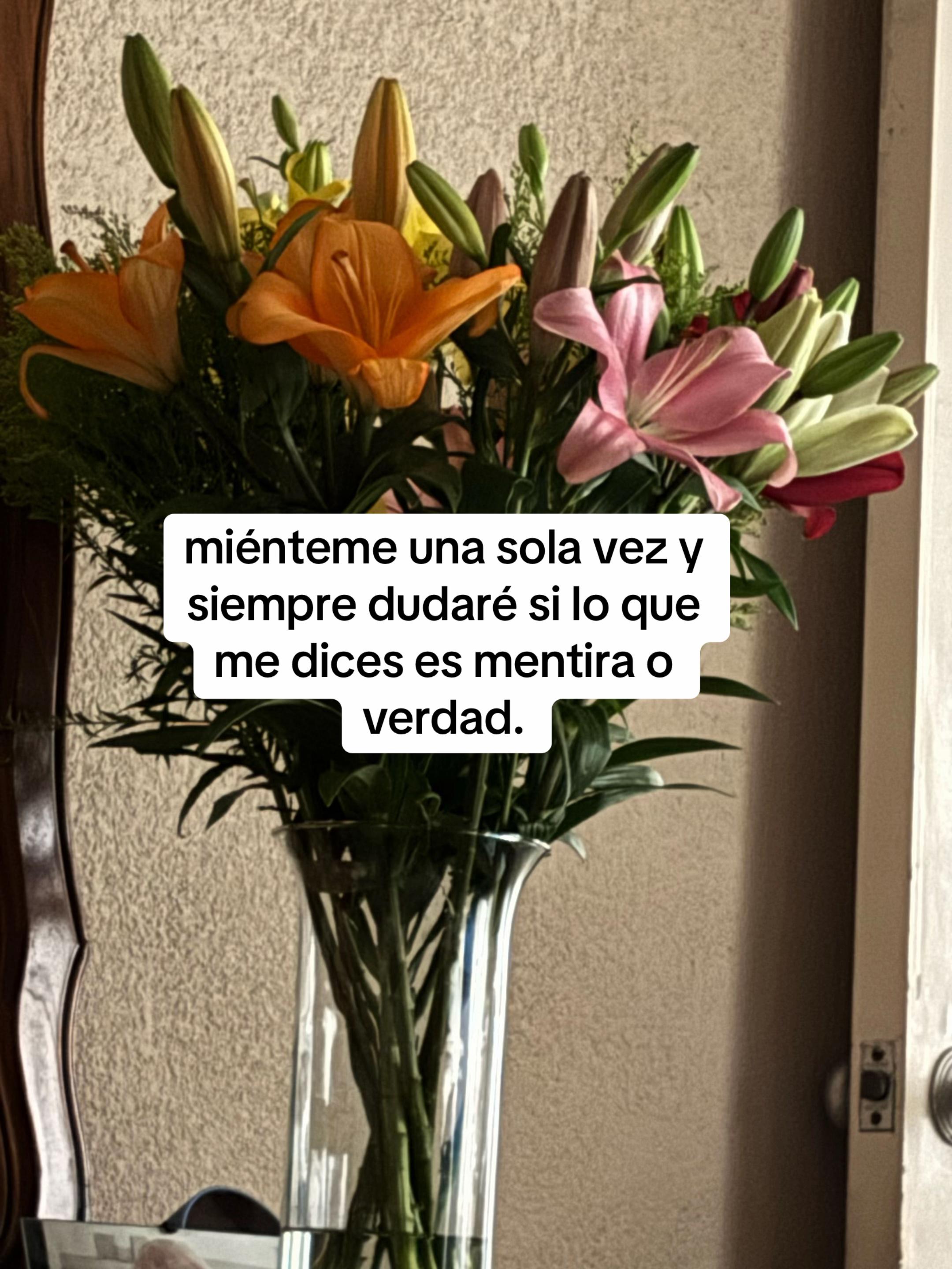 @taamz🖤