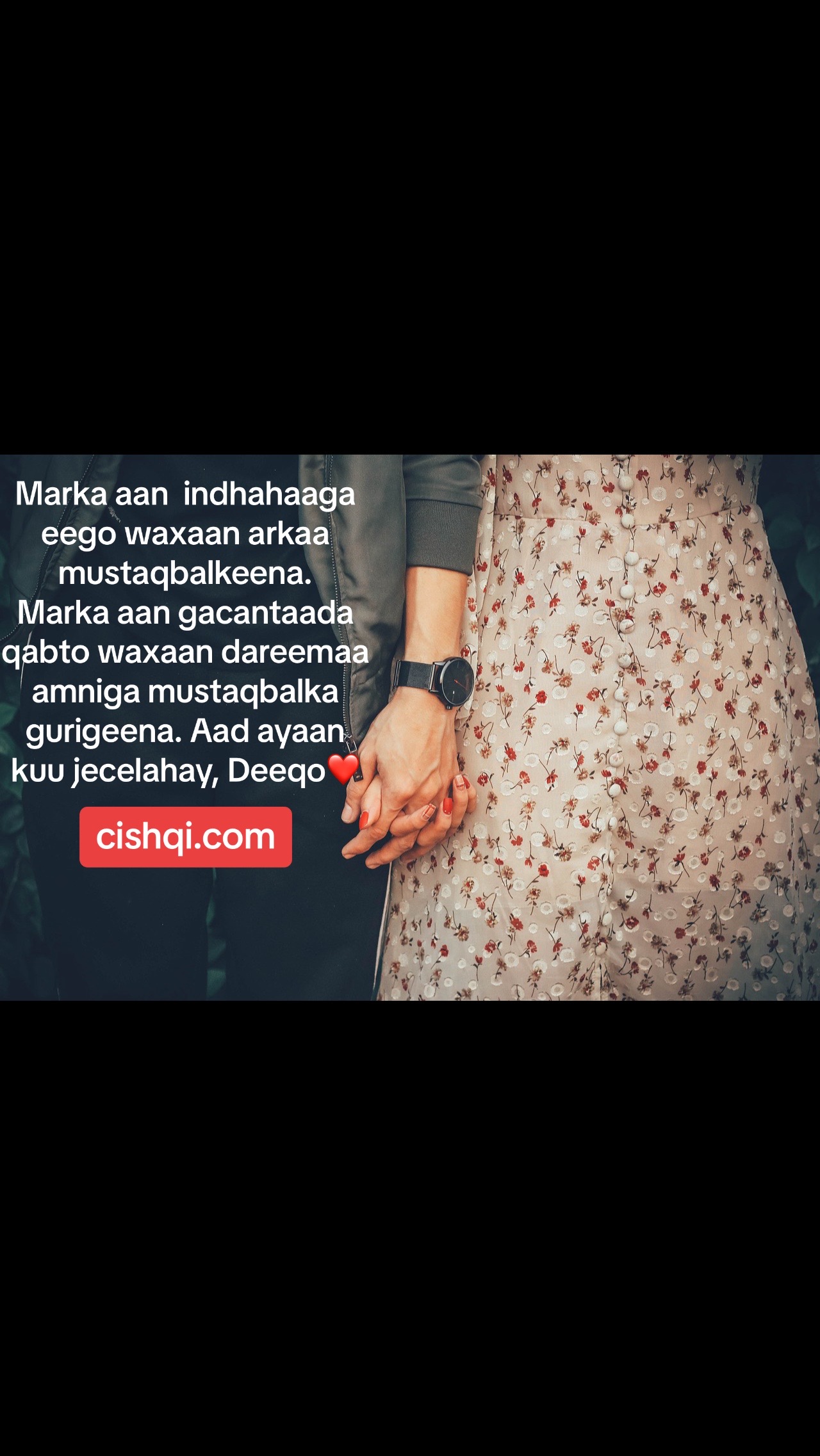 @CISHQI