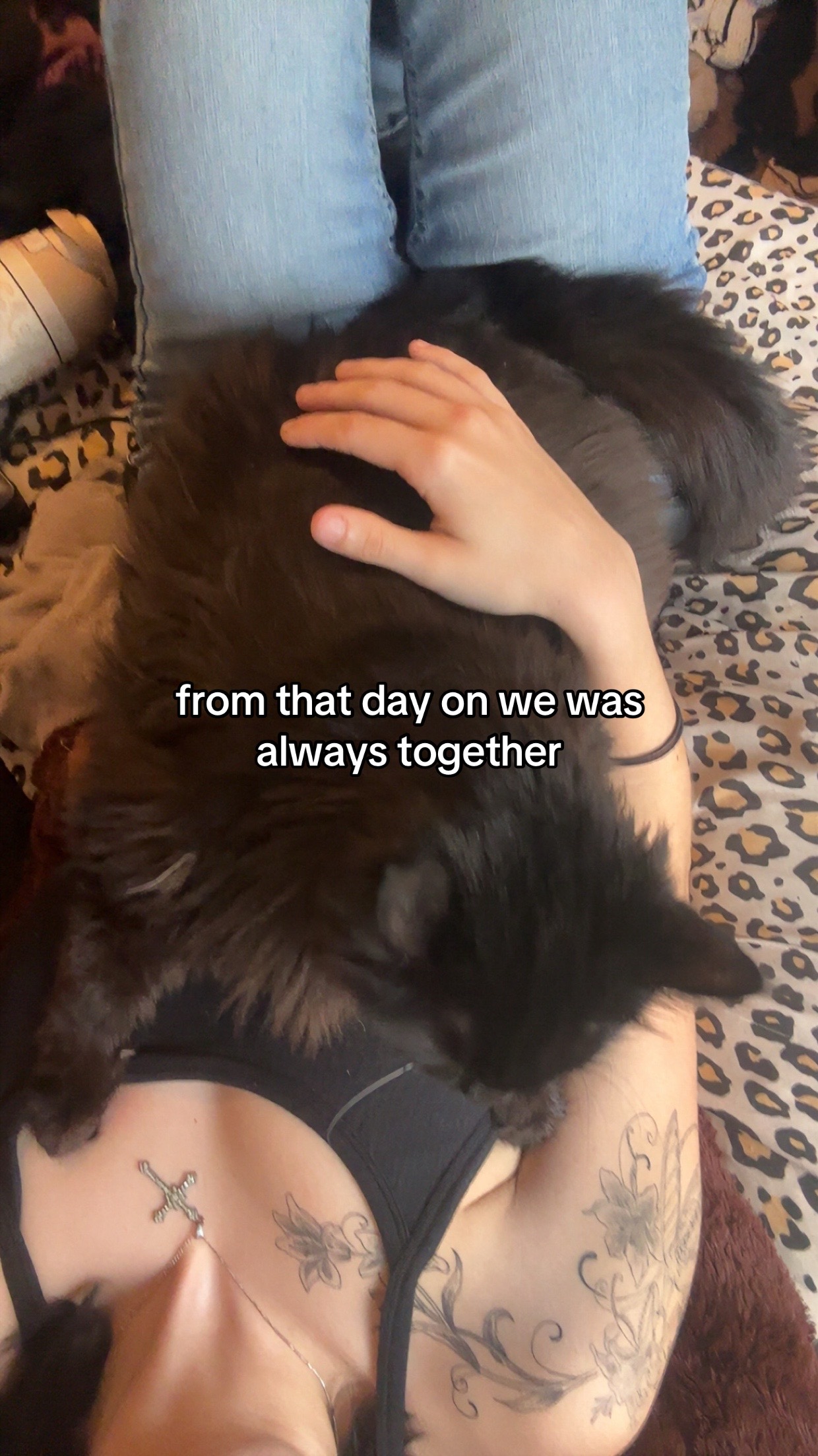 @skyelyn 🕷️