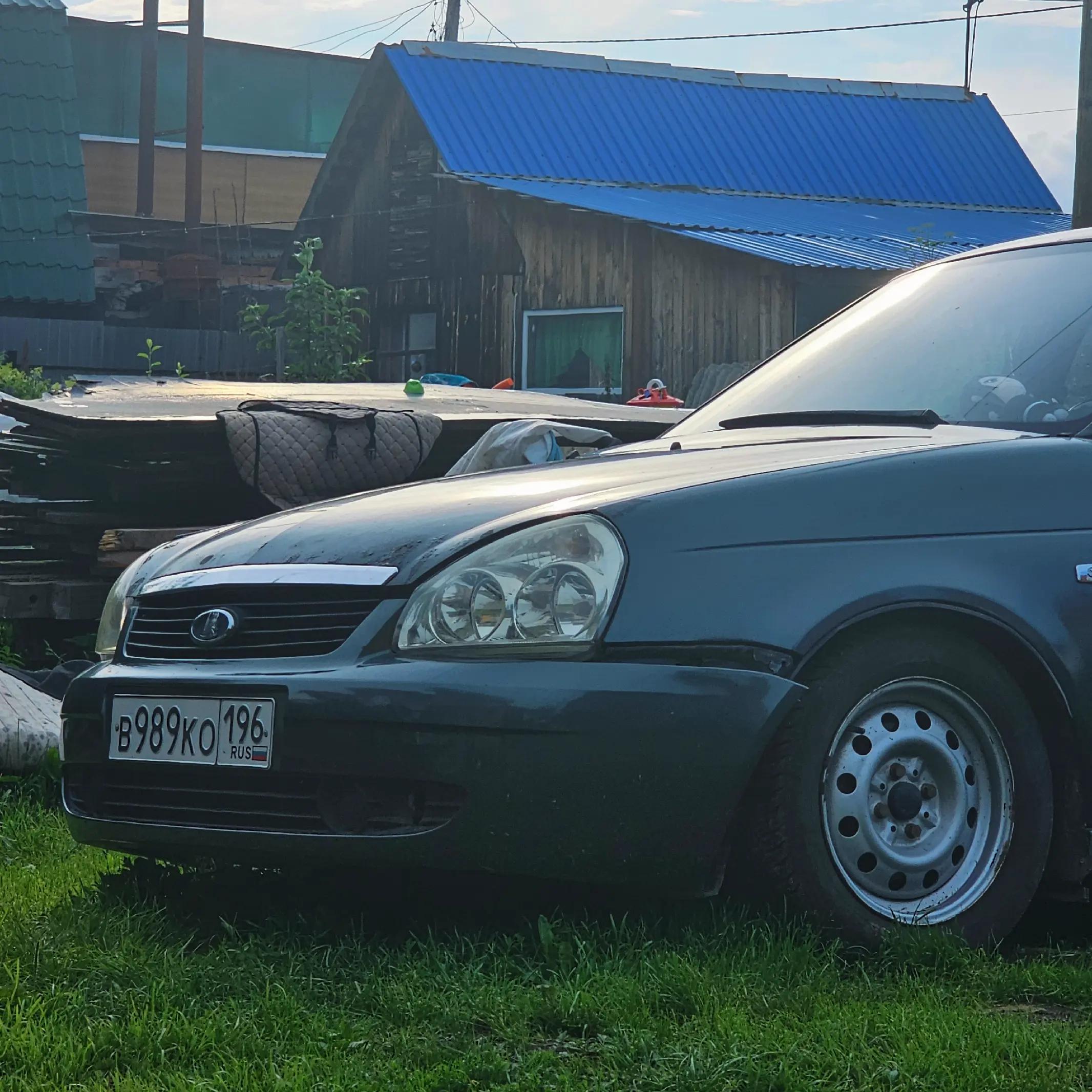 @дикий хуила