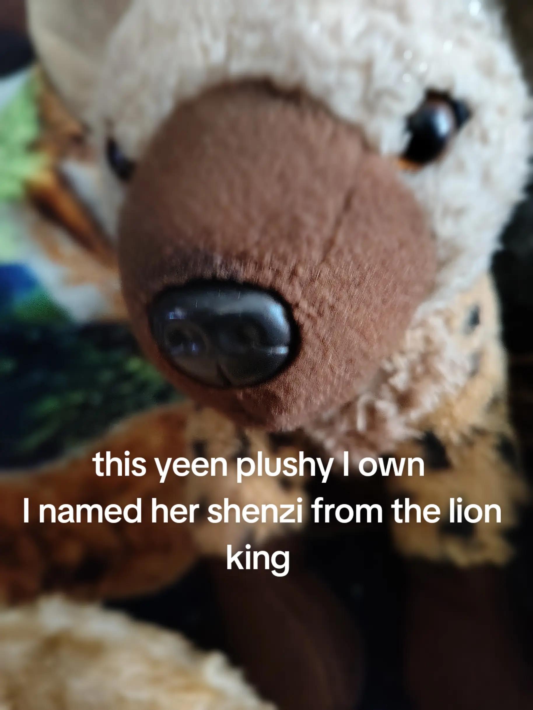 @AbrahamTheHyena✝️