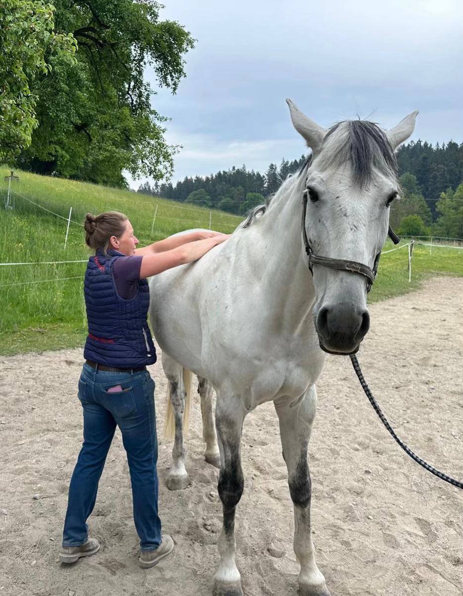 @equine_body_in_balance