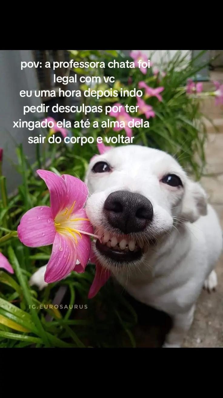 @Isadora Fernanda