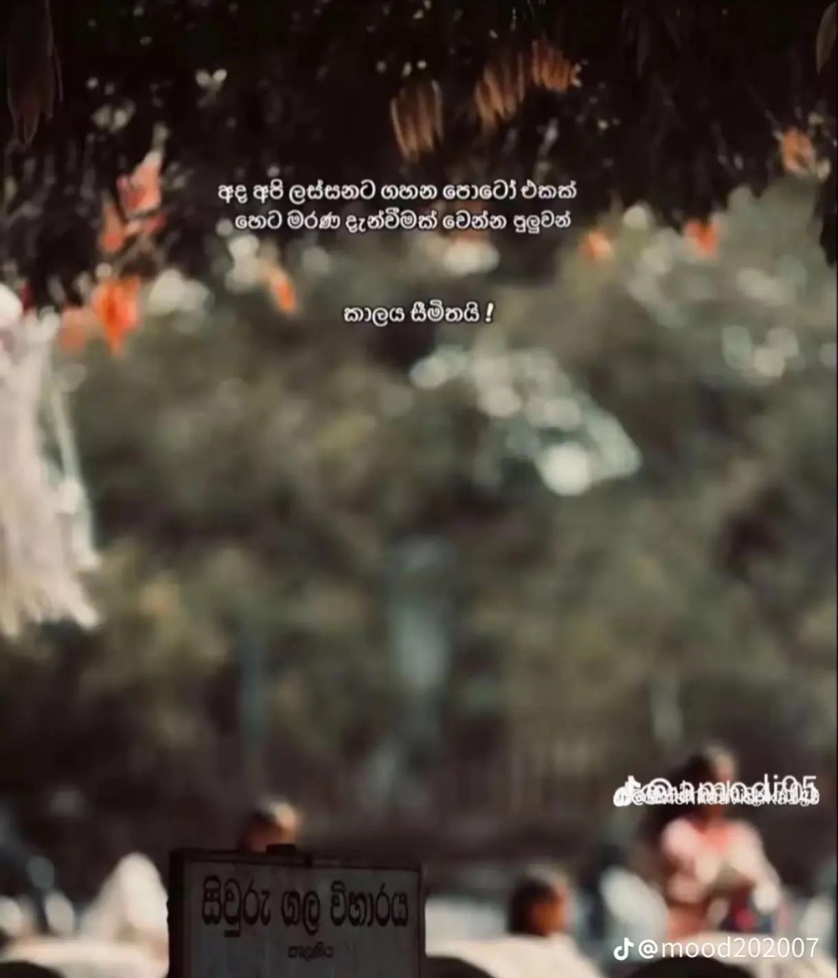@Ashini Imasha