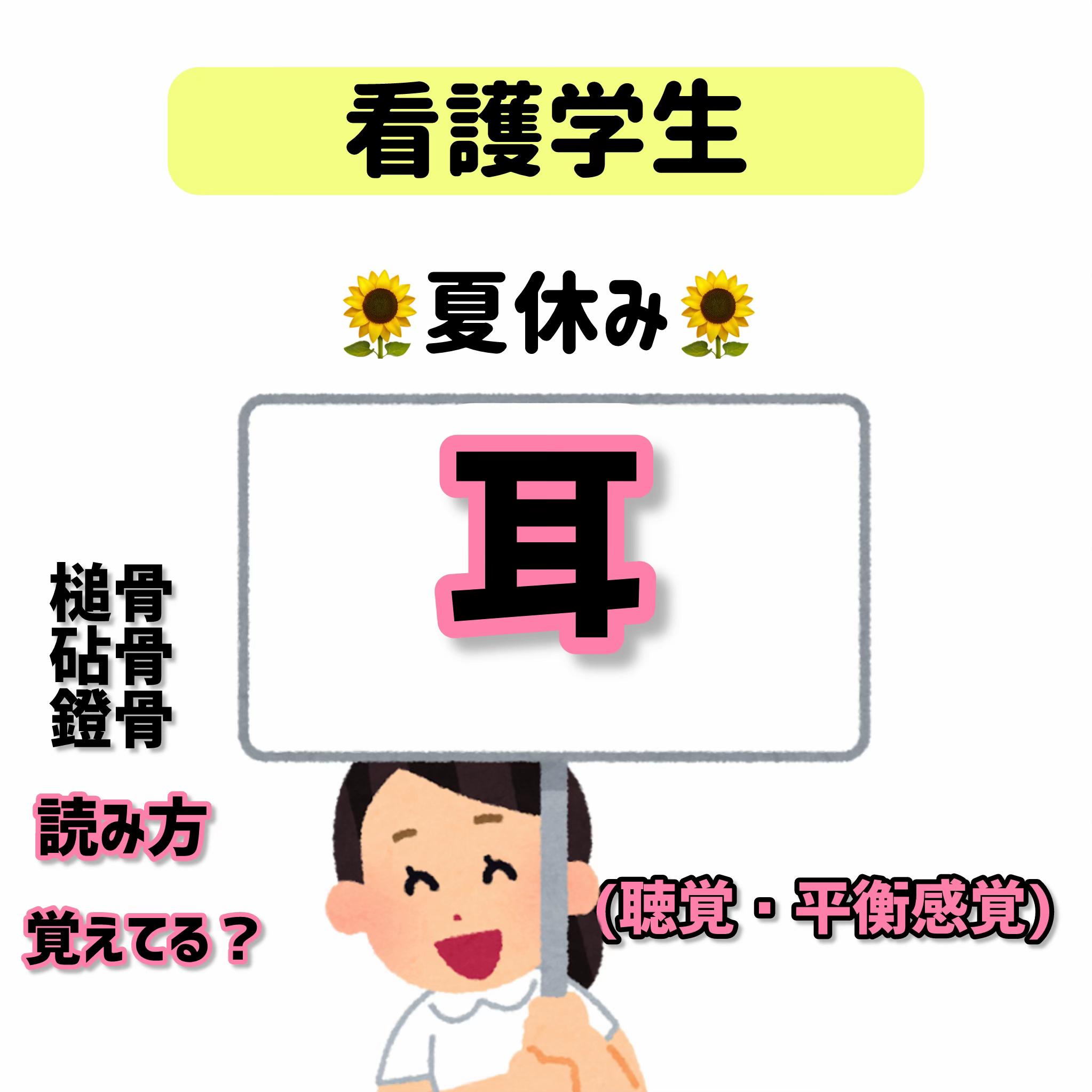 @ももんが看護