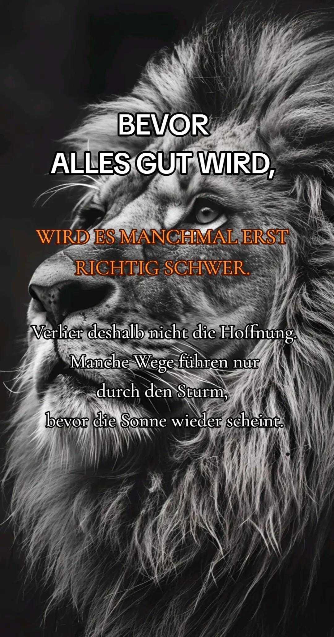 @𝕷𝖎𝖔𝖓-𝖌𝖎𝖗𝖑 🦁