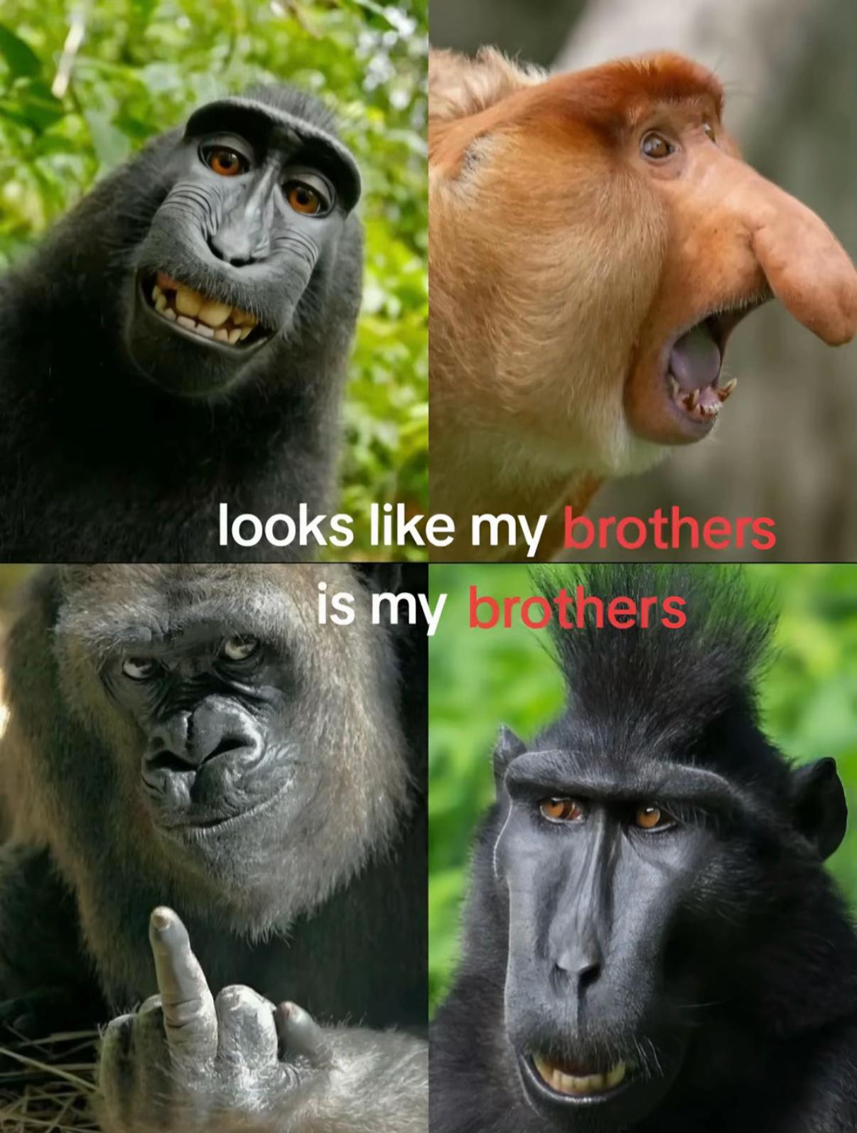 @𝚙𝚘𝚙𝚙𝚢-𝚛𝚘𝚜𝚎🤍🥥