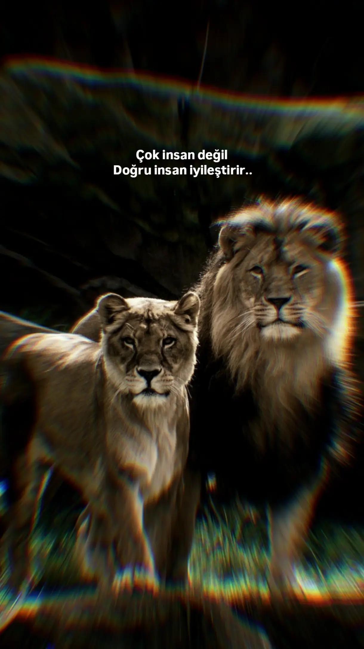 @1siyahsokak