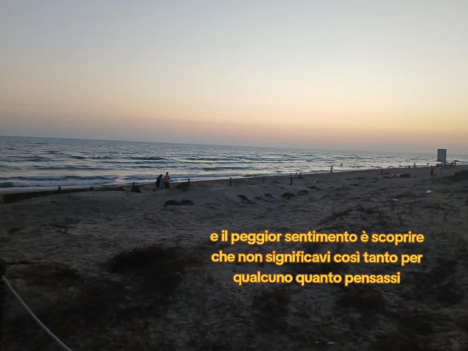 @sofia_sardella8