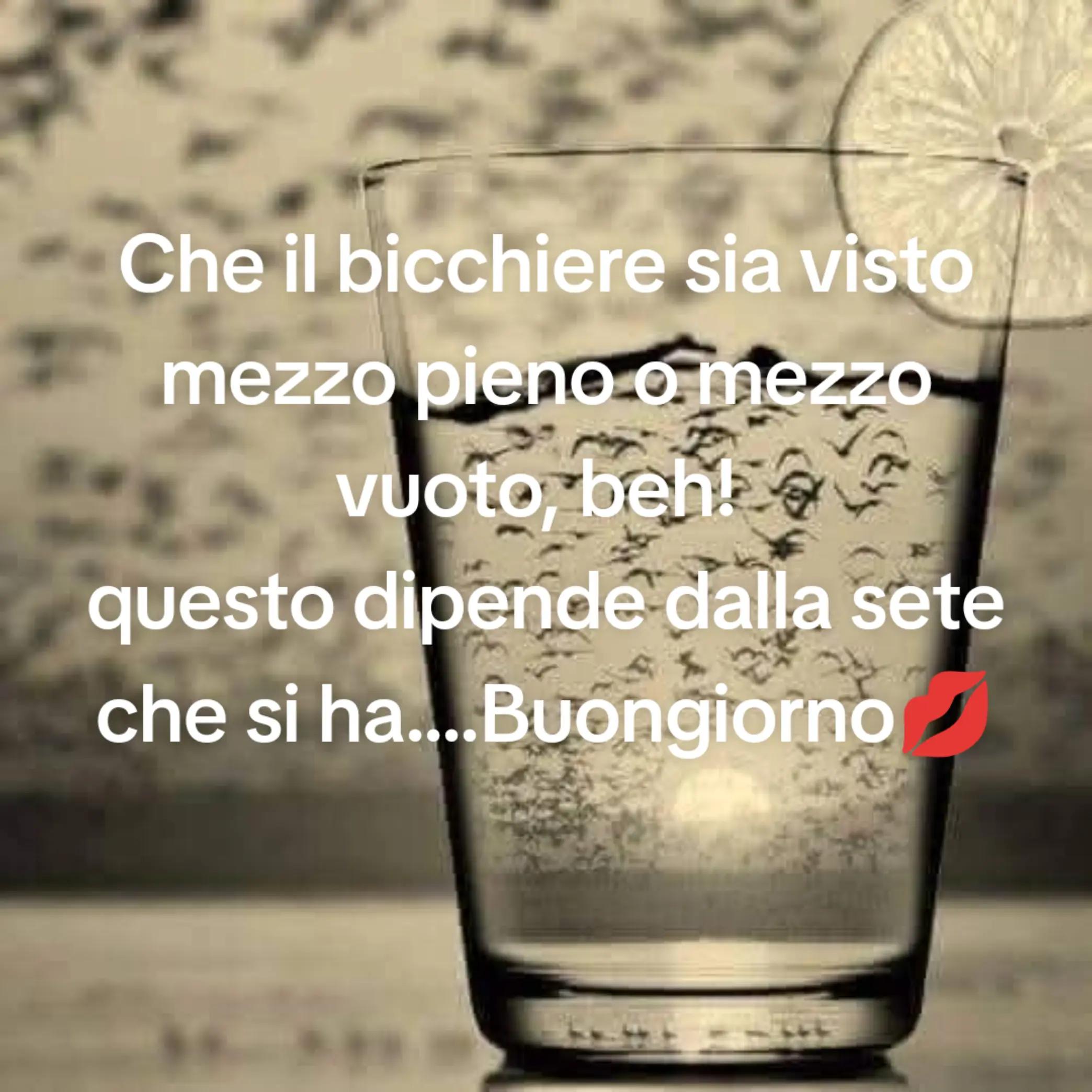 @Anna Persechini64