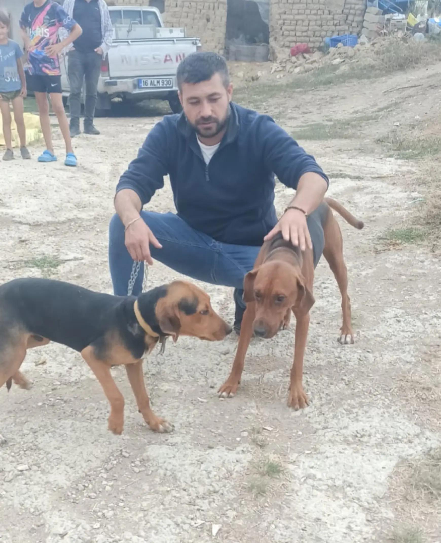 @Selçuk Tuna 🐈⬛