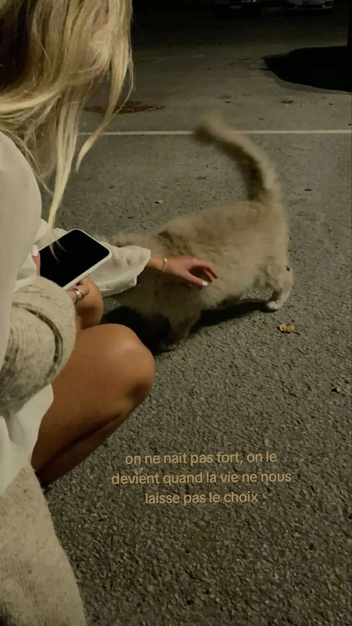 @🐚☁️🥥