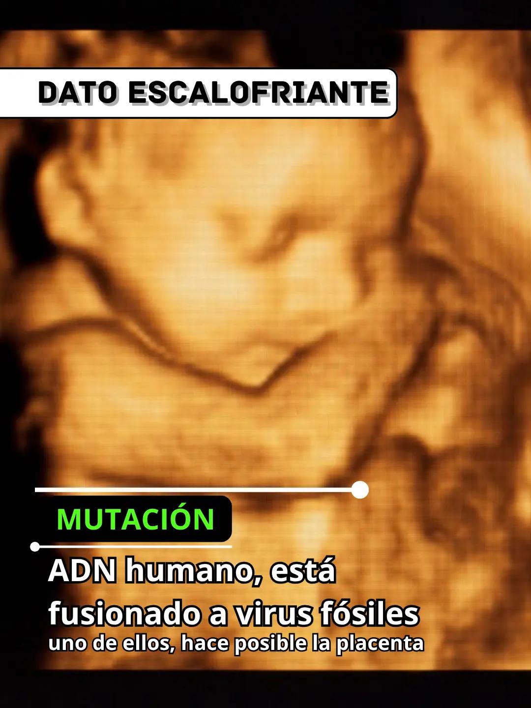 @eocenito