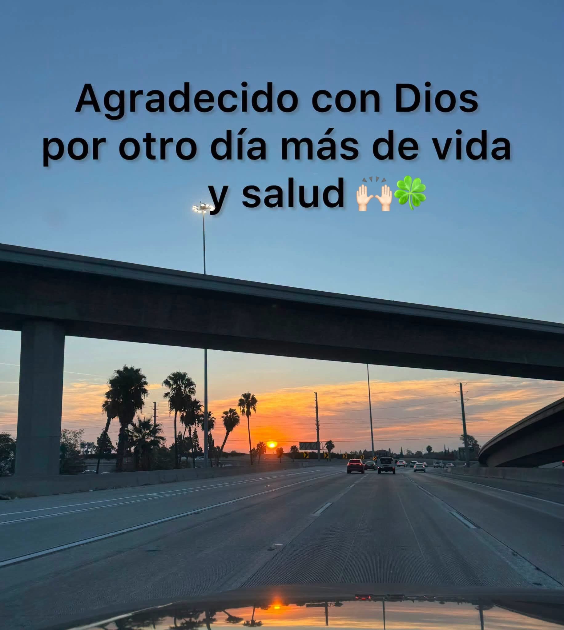 @Lucí Fajardo 🙈