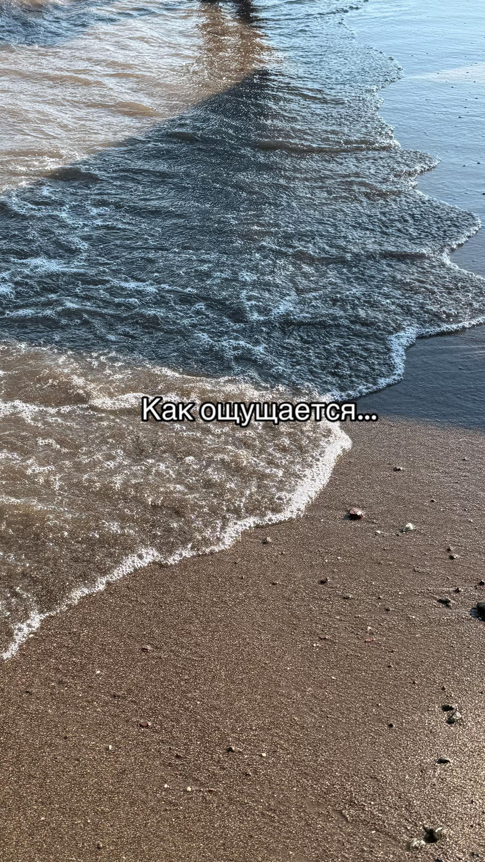 @Sovenok_