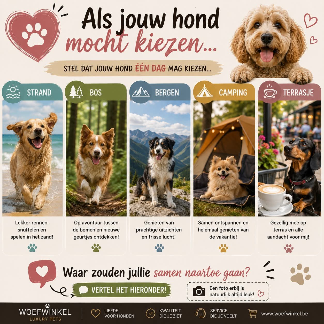 @Luxury Pets - Woefwinkel