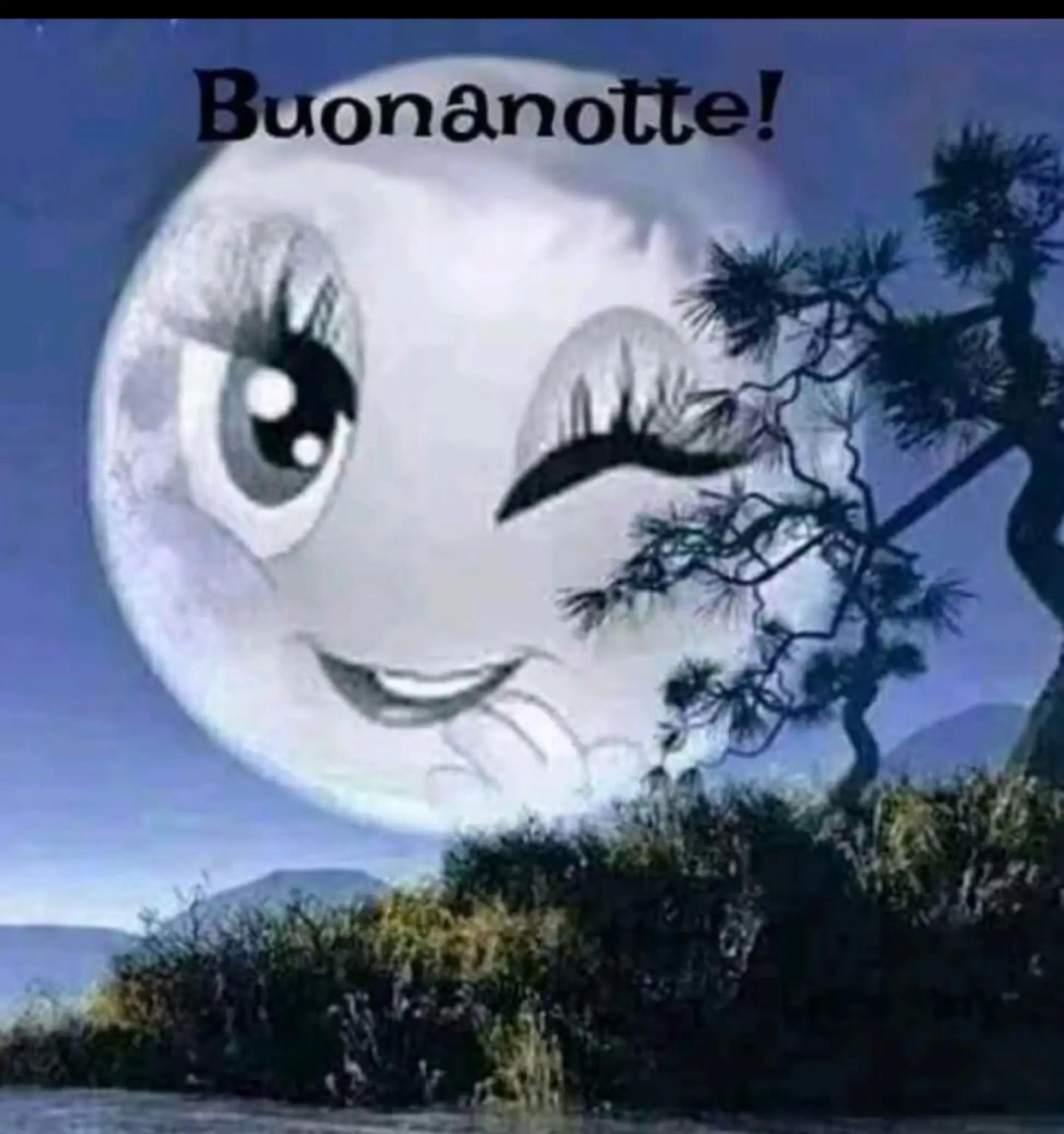 @꧁•♡ᏚťёԲꪋ𝗇ĩꪋ ♡•꧂
