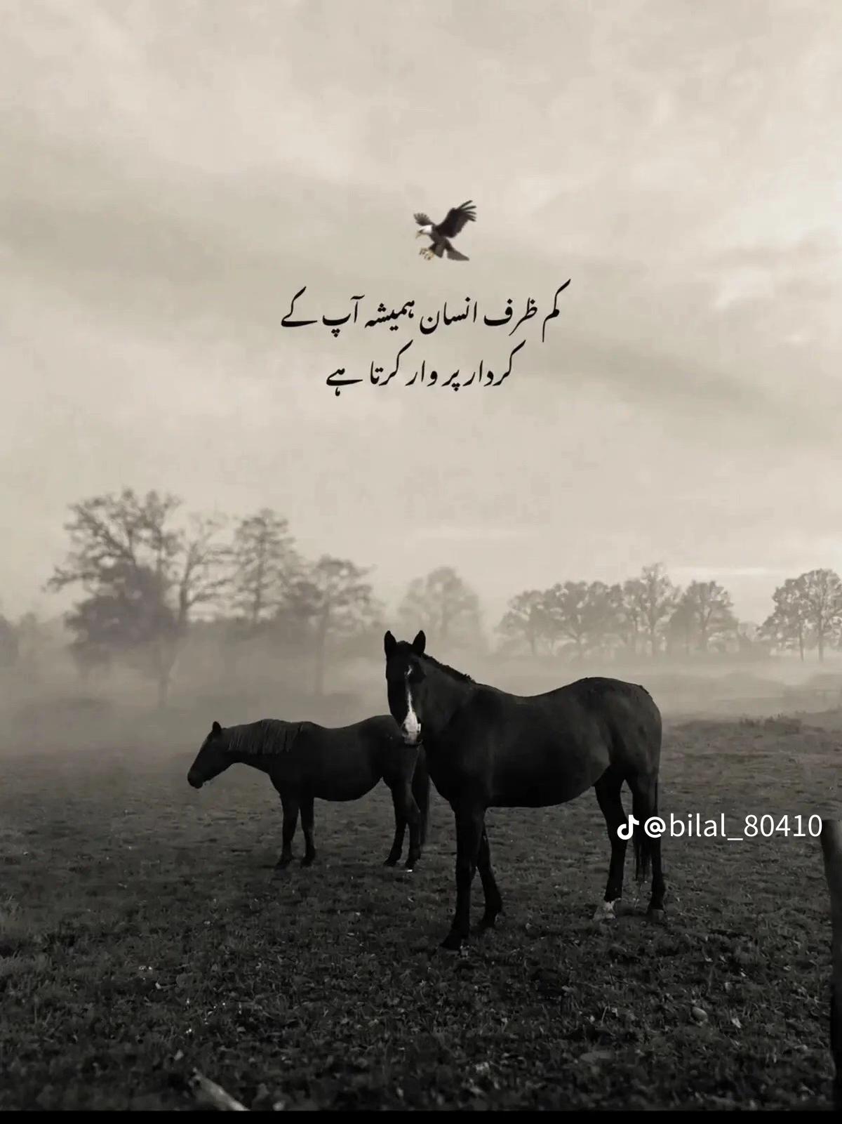 @mian80352