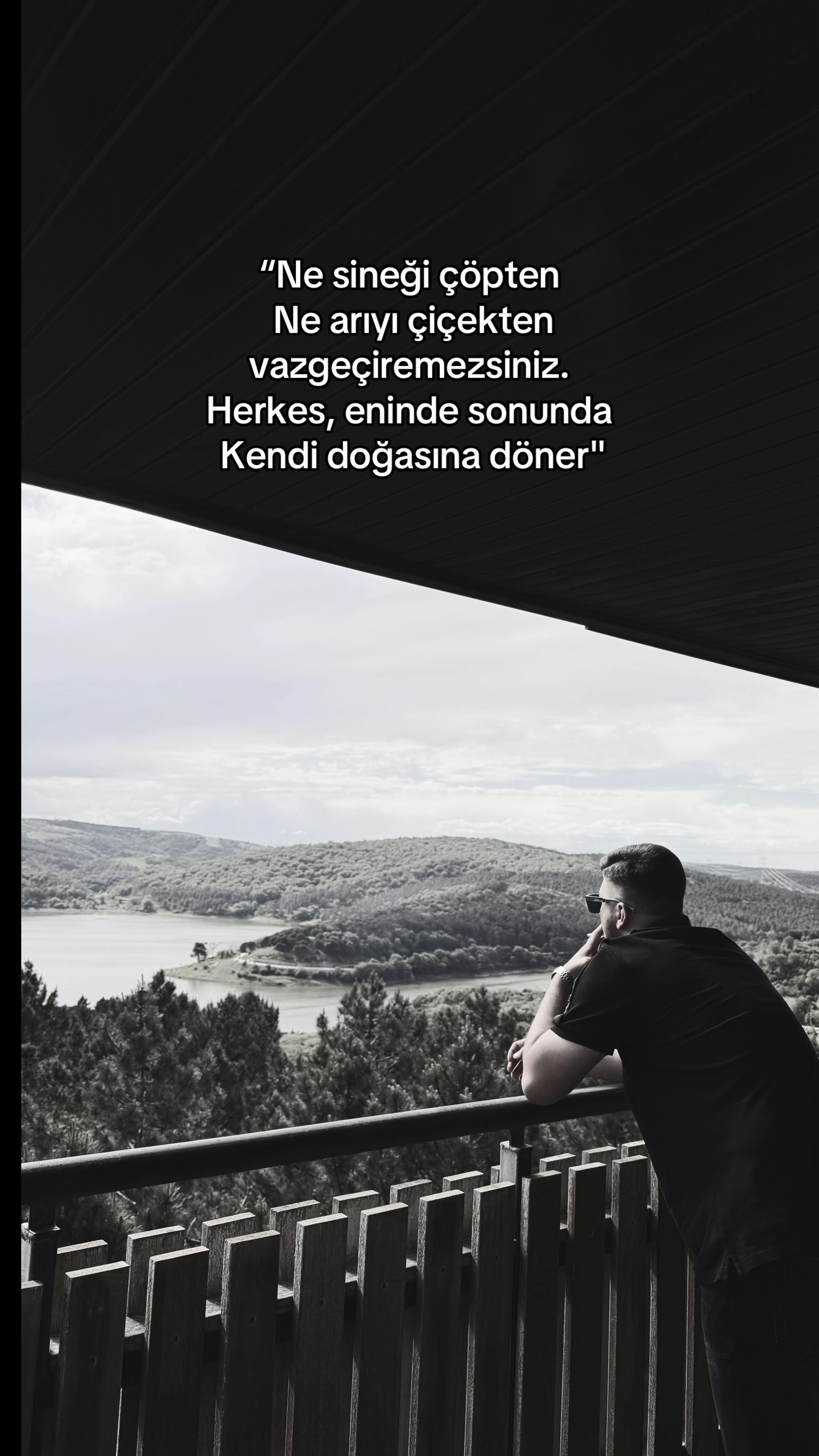 @TAYLAN
