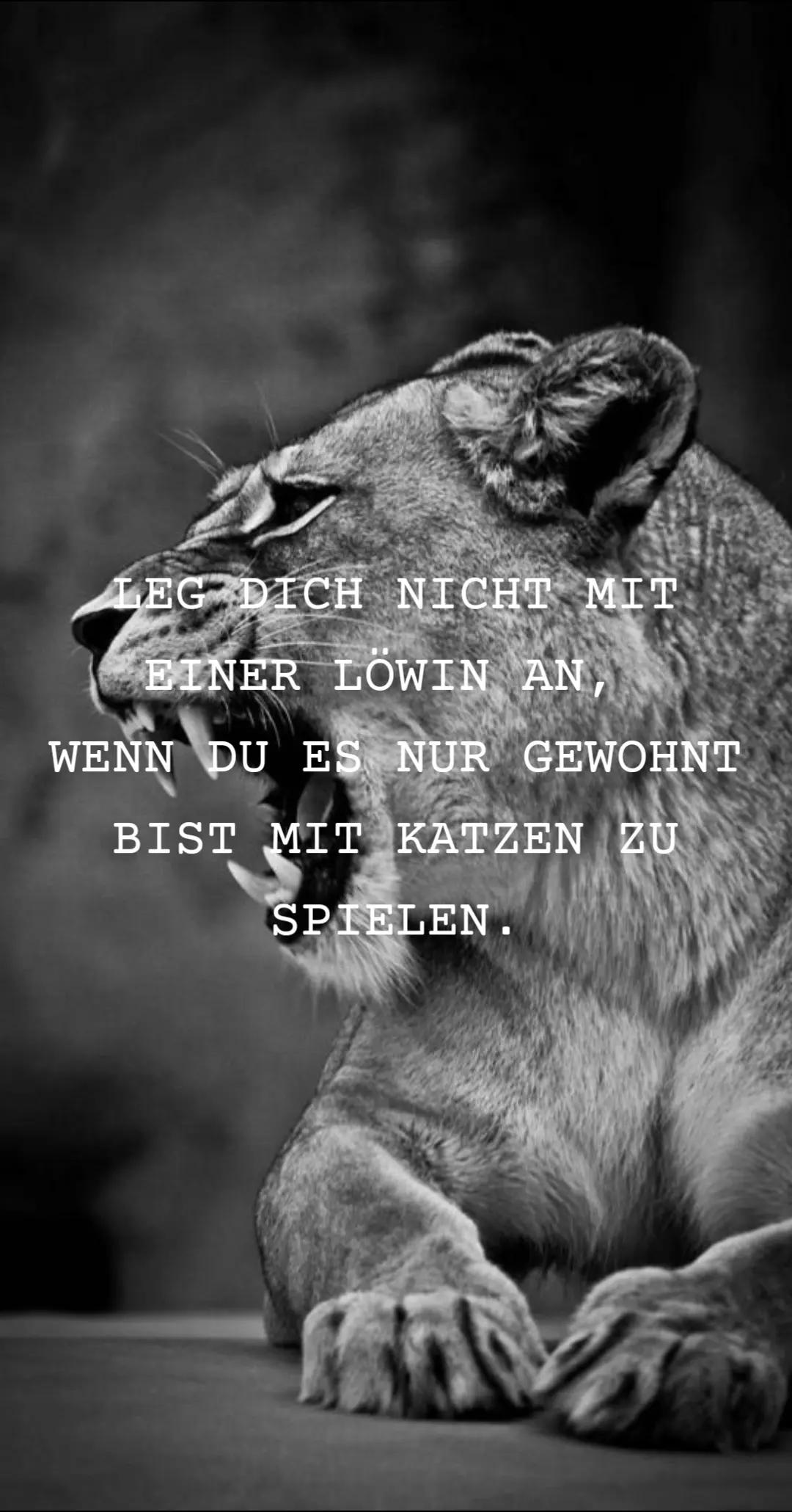 @๐ท๐๐๐-๐๐๐๐ ๐ฆ