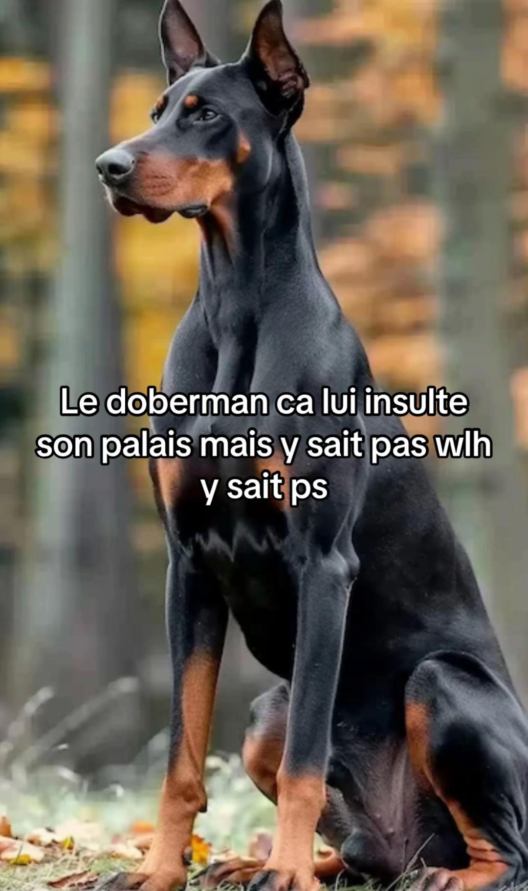 @Pas d’inspi 🥵
