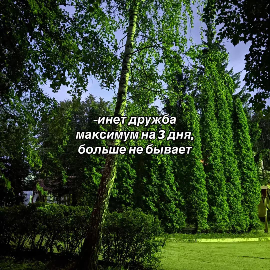 @Чаэ✨️