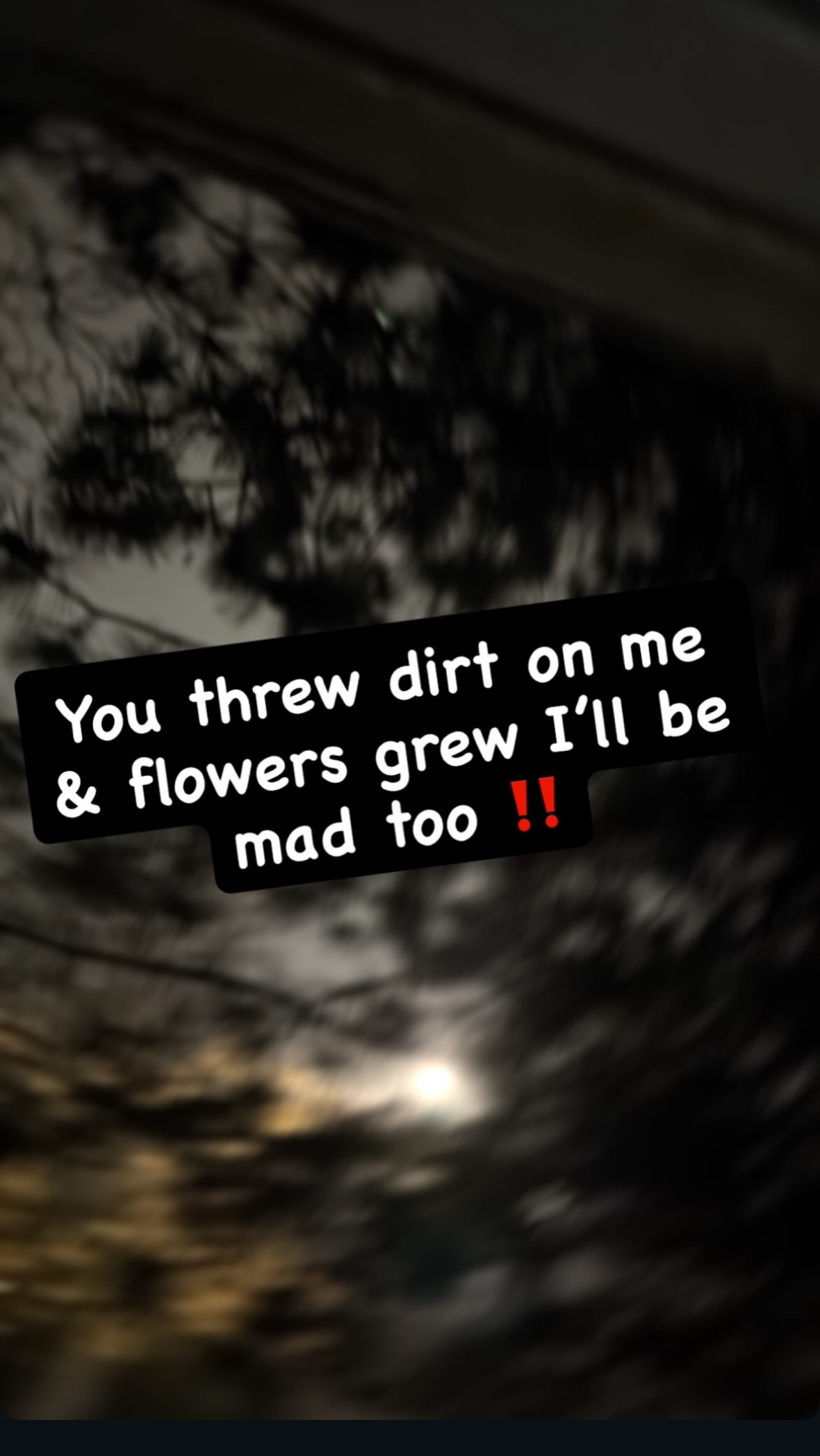 @mobmondo