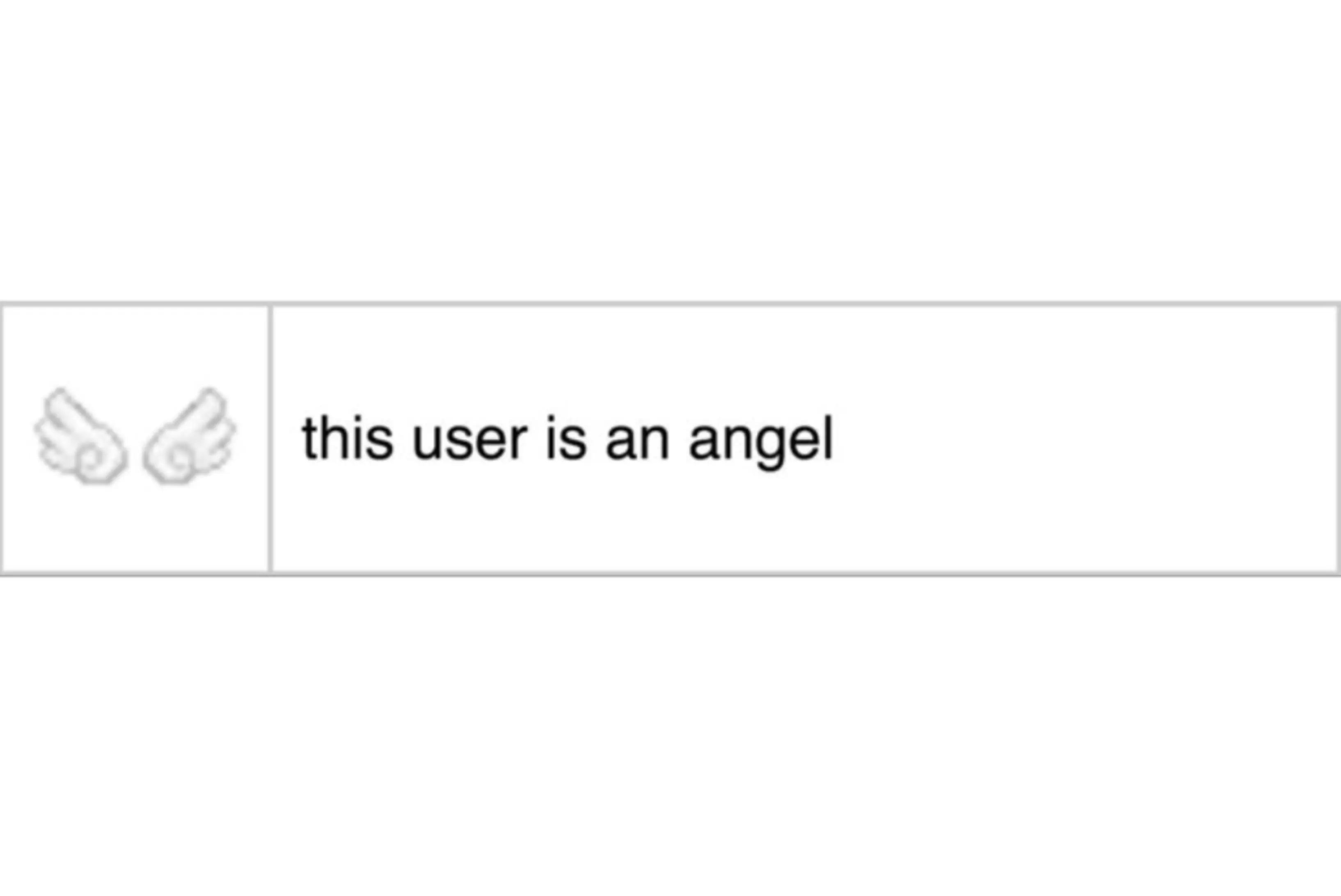 @Angel/fawn!!🪽/🍝🌎